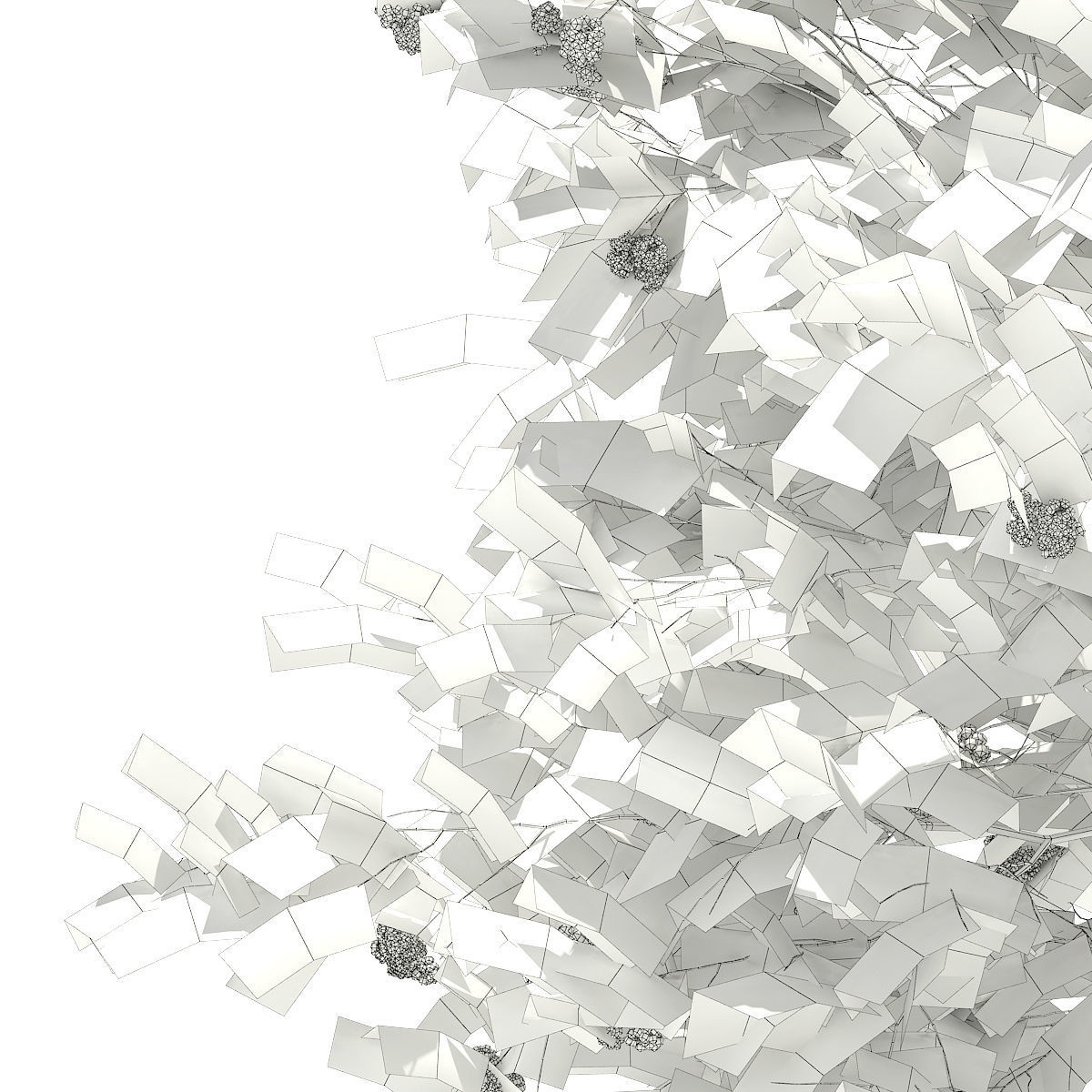 European Rowan Sorbus aucuparia 3m 3D model_7