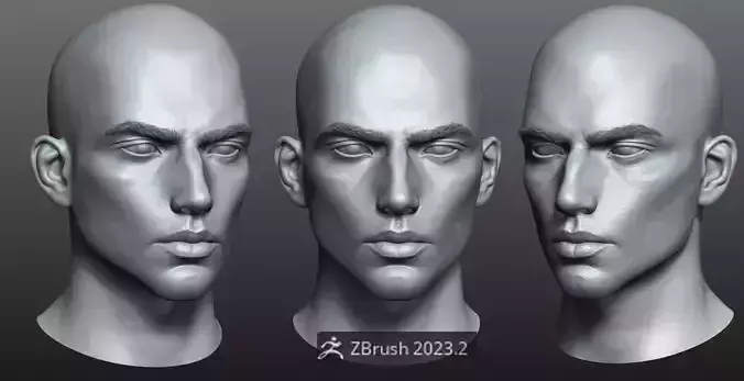 Highpoly Realistic White Man Head zbrush project 2 3D model