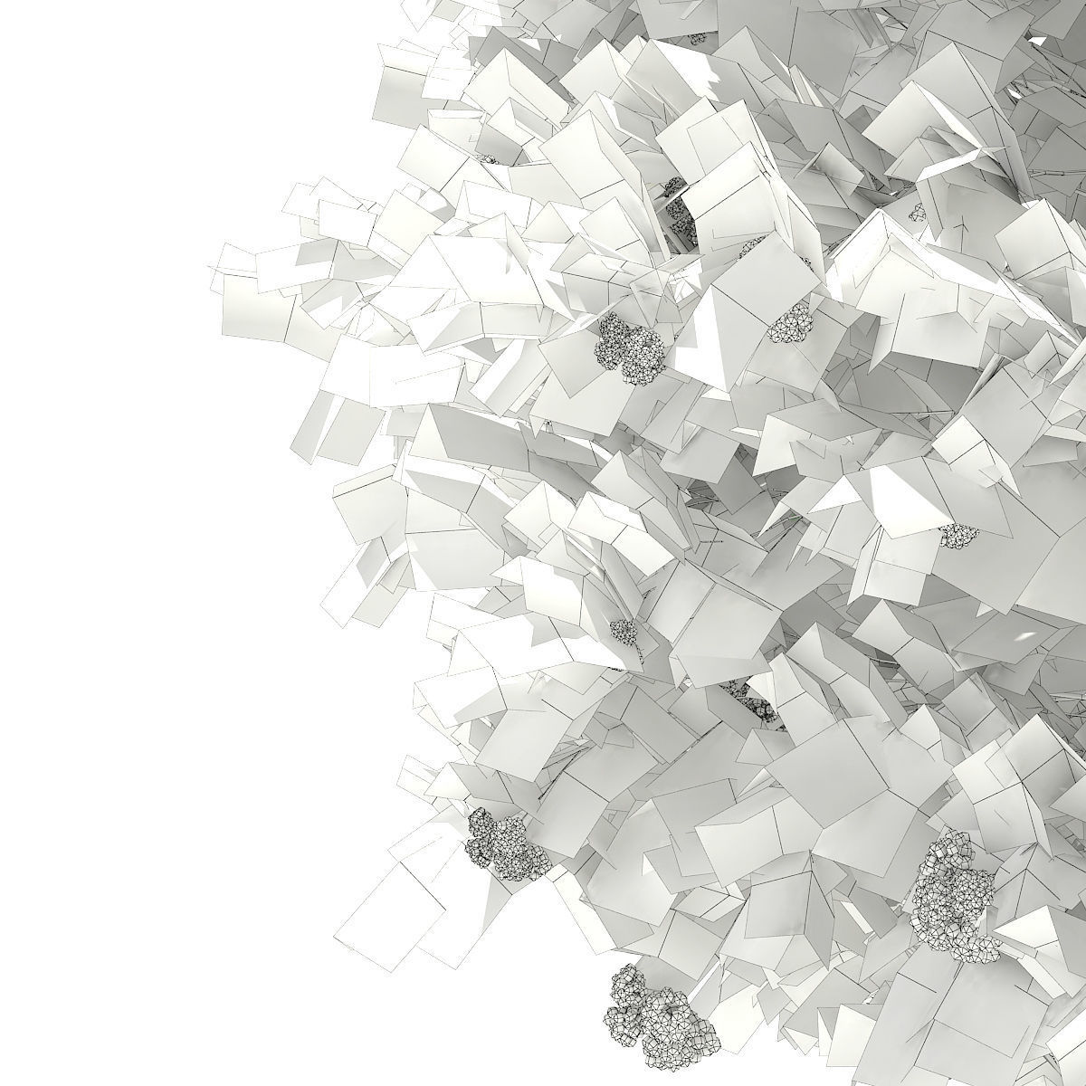 European Rowan Sorbus aucuparia 4m 3D model_7