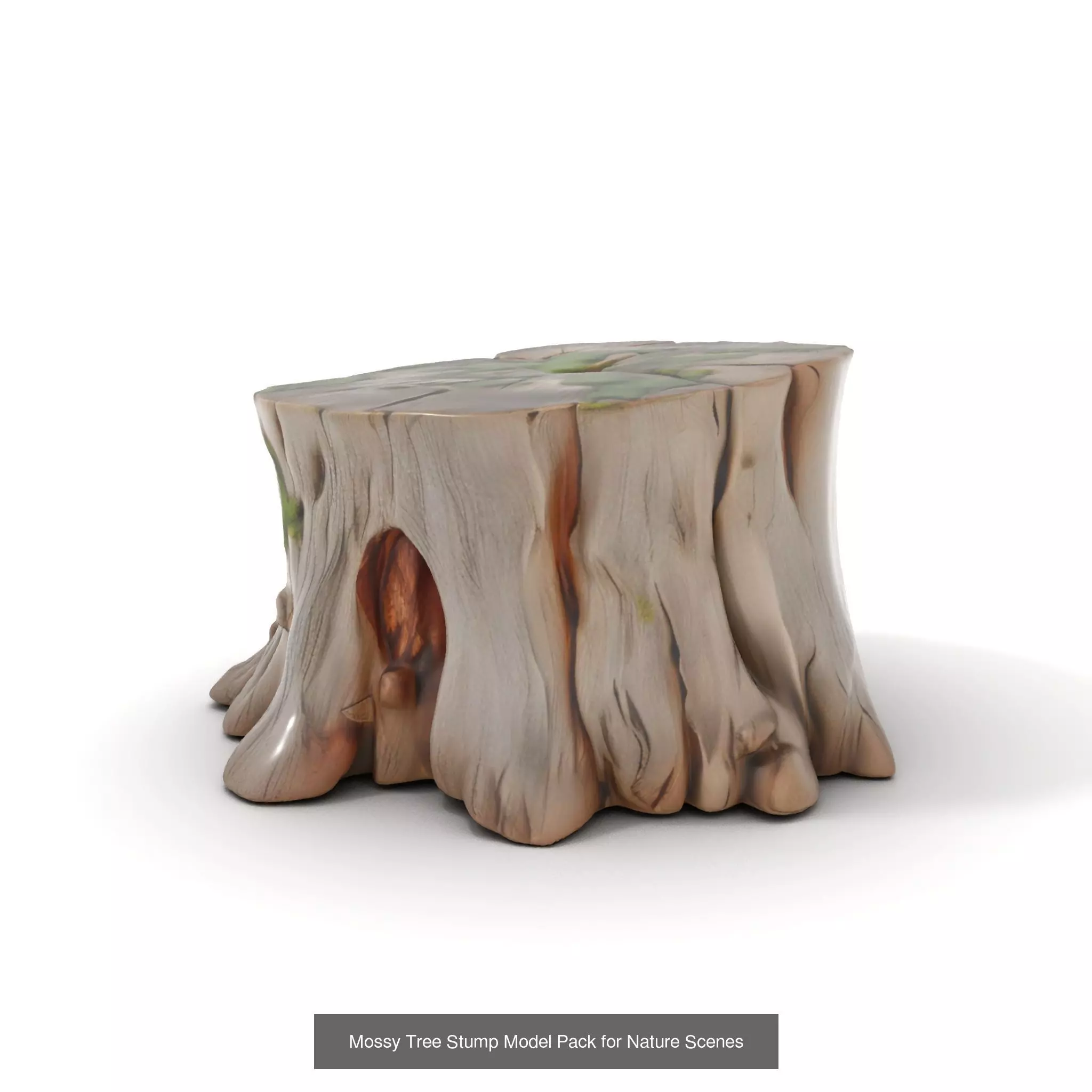 Gnarled Stump Collection _48