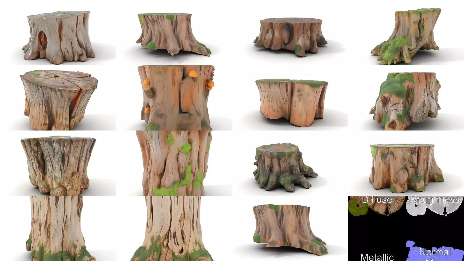 Gnarled Stump Collection _30