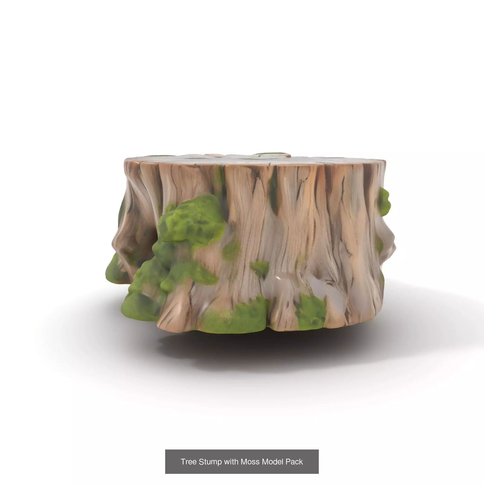 Gnarled Stump Collection _36