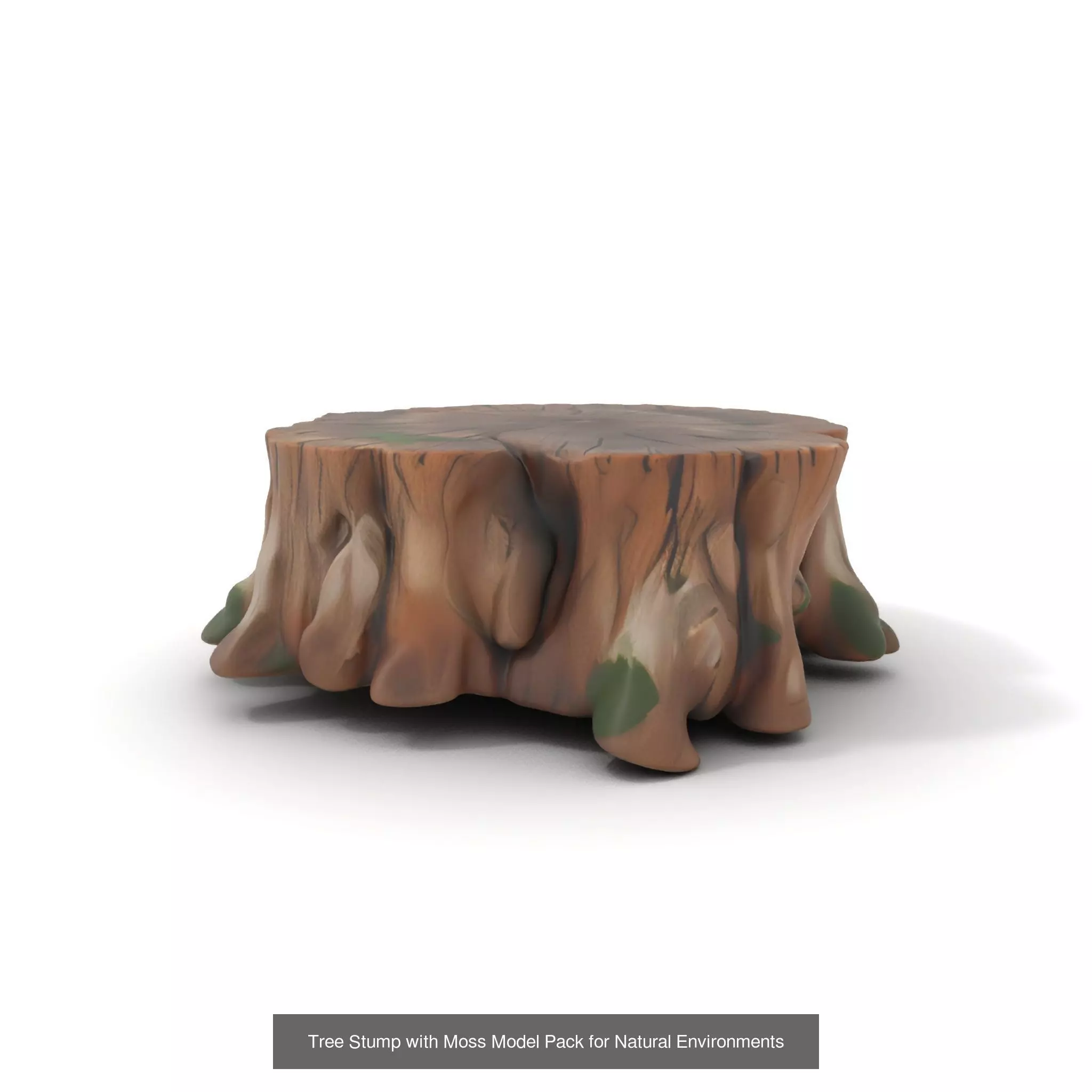 Gnarled Stump Collection _50