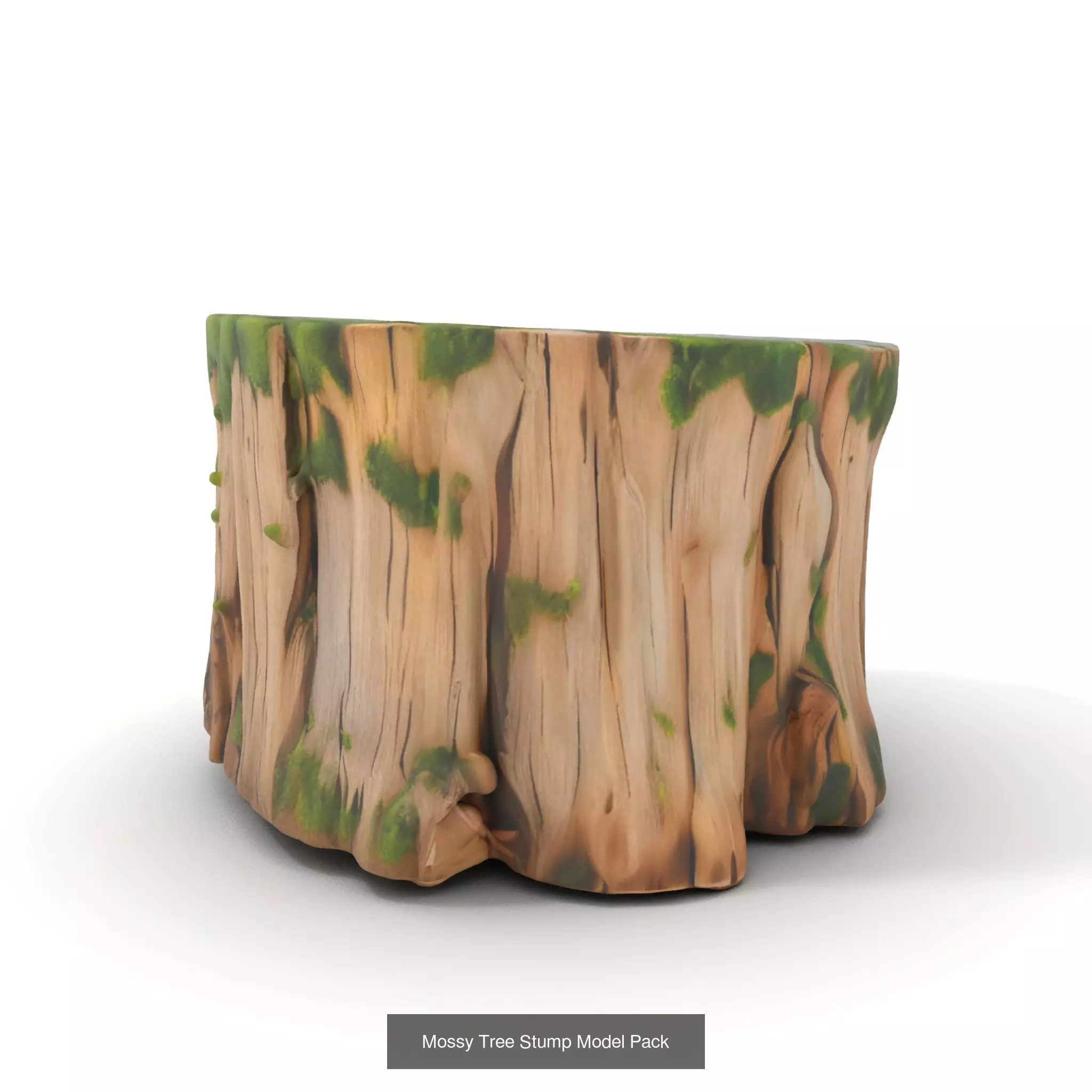 Gnarled Stump Collection _44