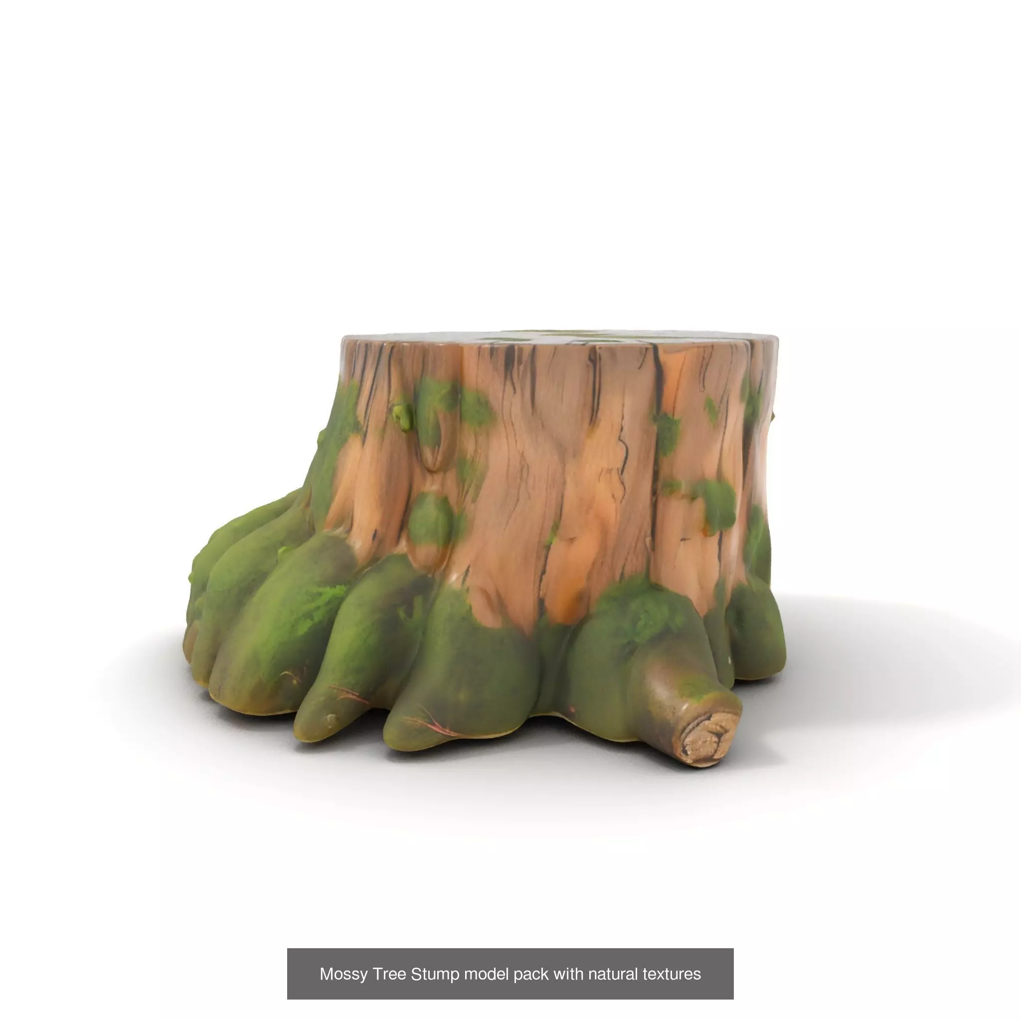 Gnarled Stump Collection _42