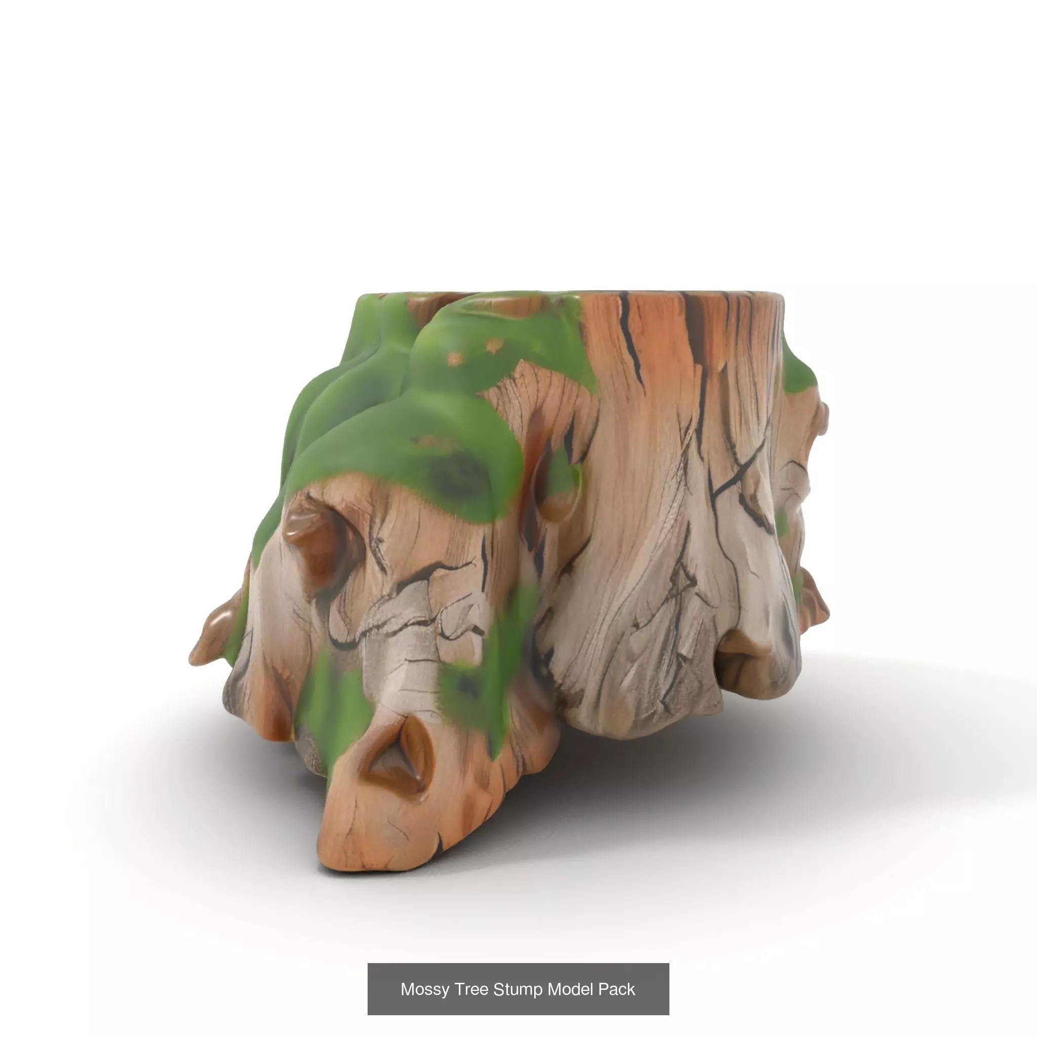 Gnarled Stump Collection _55