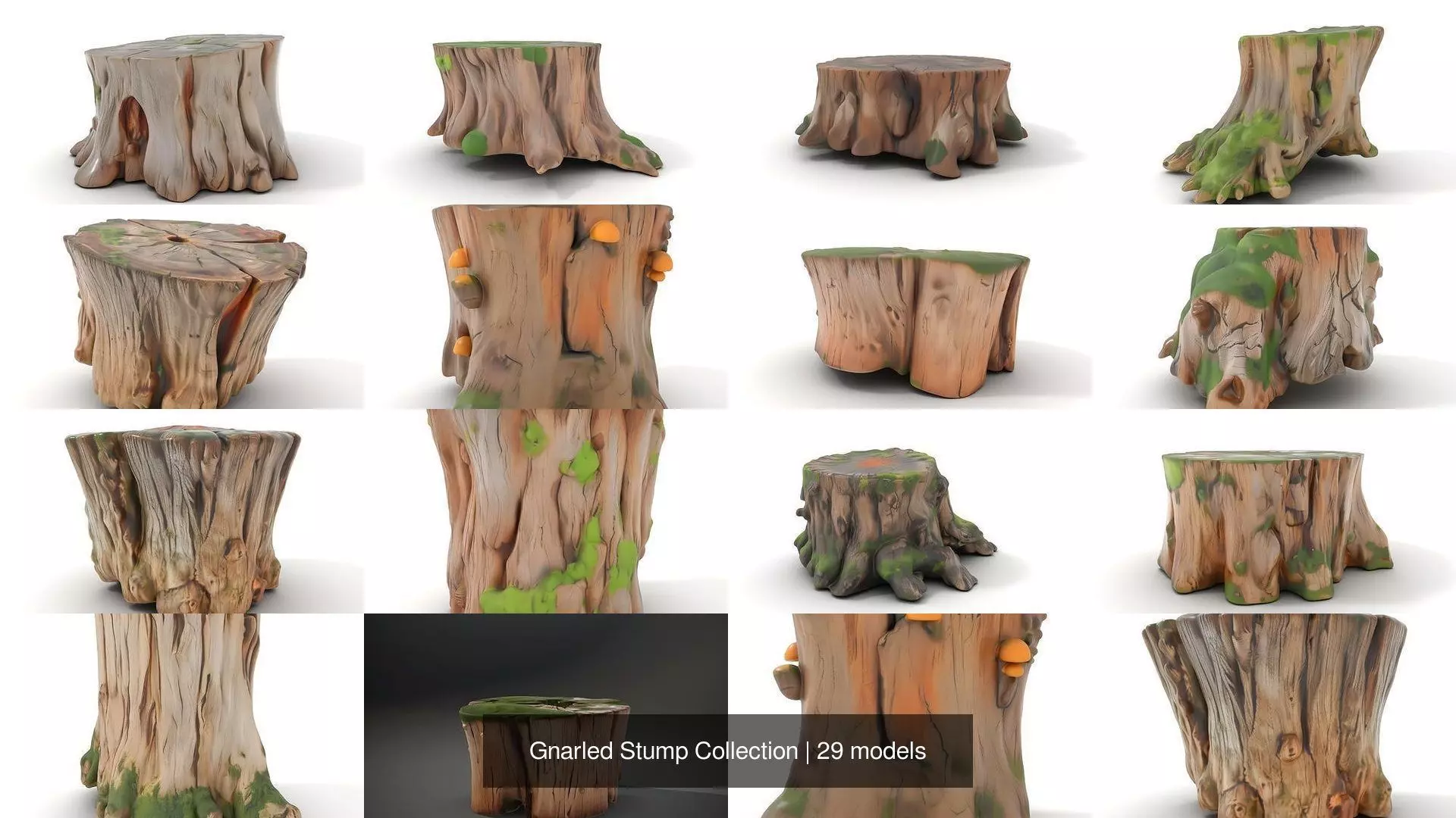 Gnarled Stump Collection _31