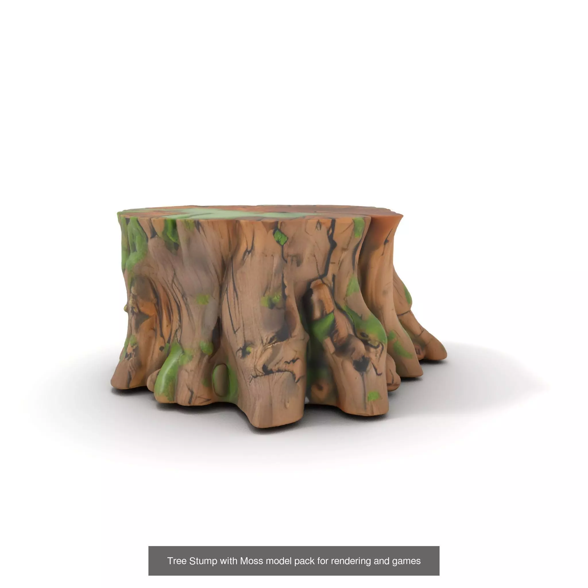 Gnarled Stump Collection _39