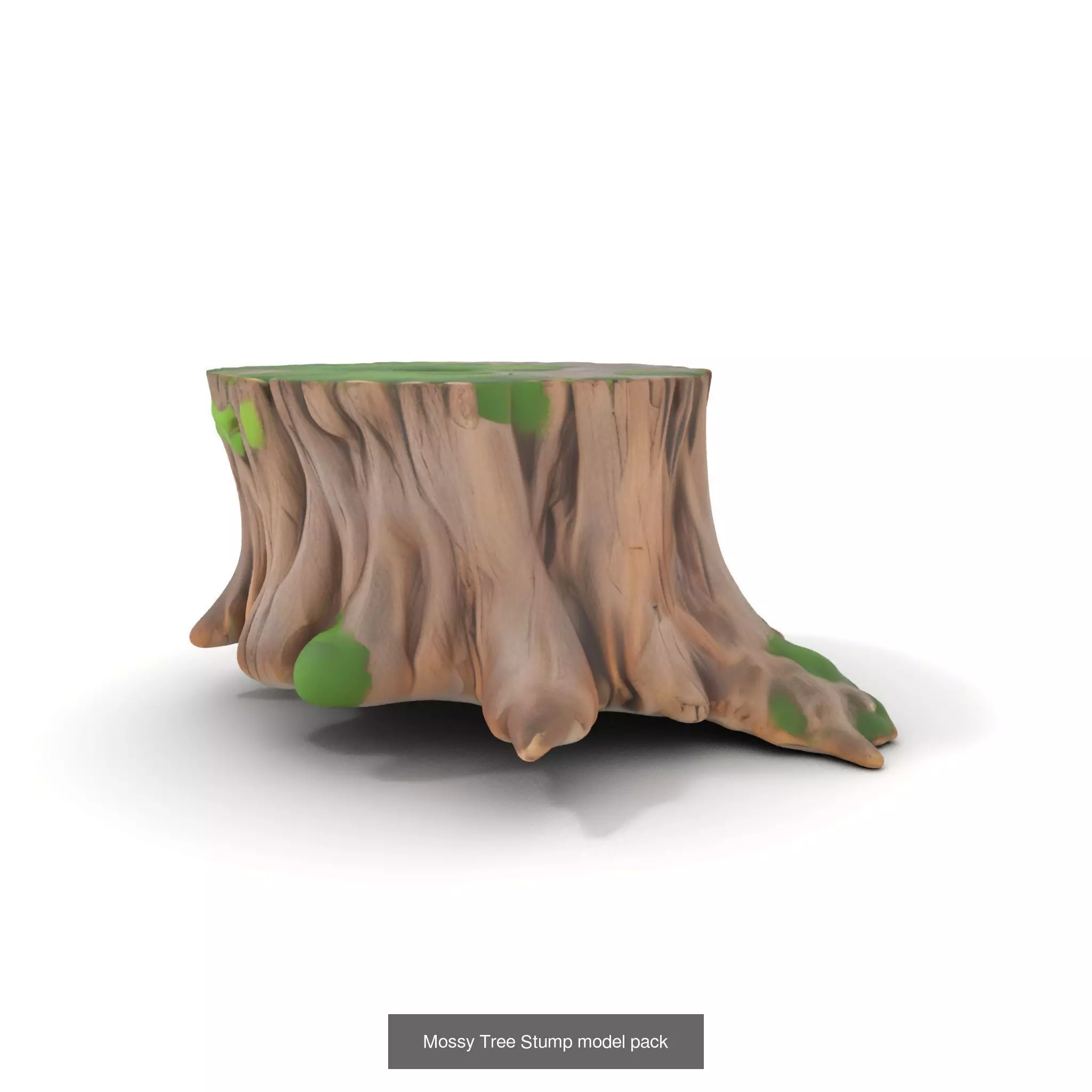 Gnarled Stump Collection _49