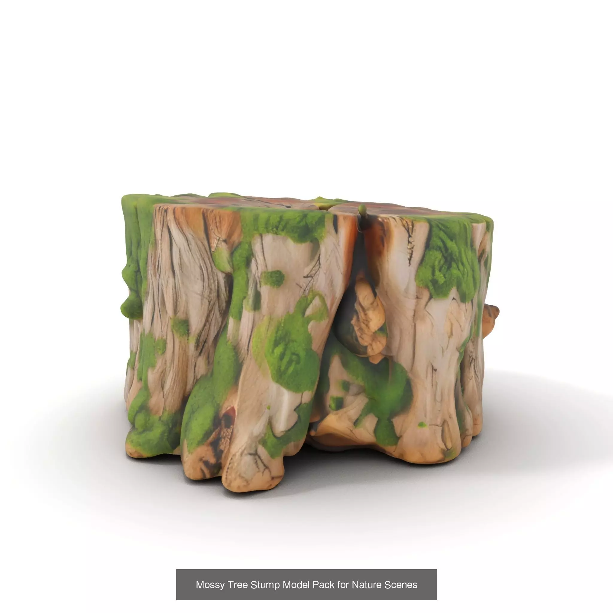 Gnarled Stump Collection _33