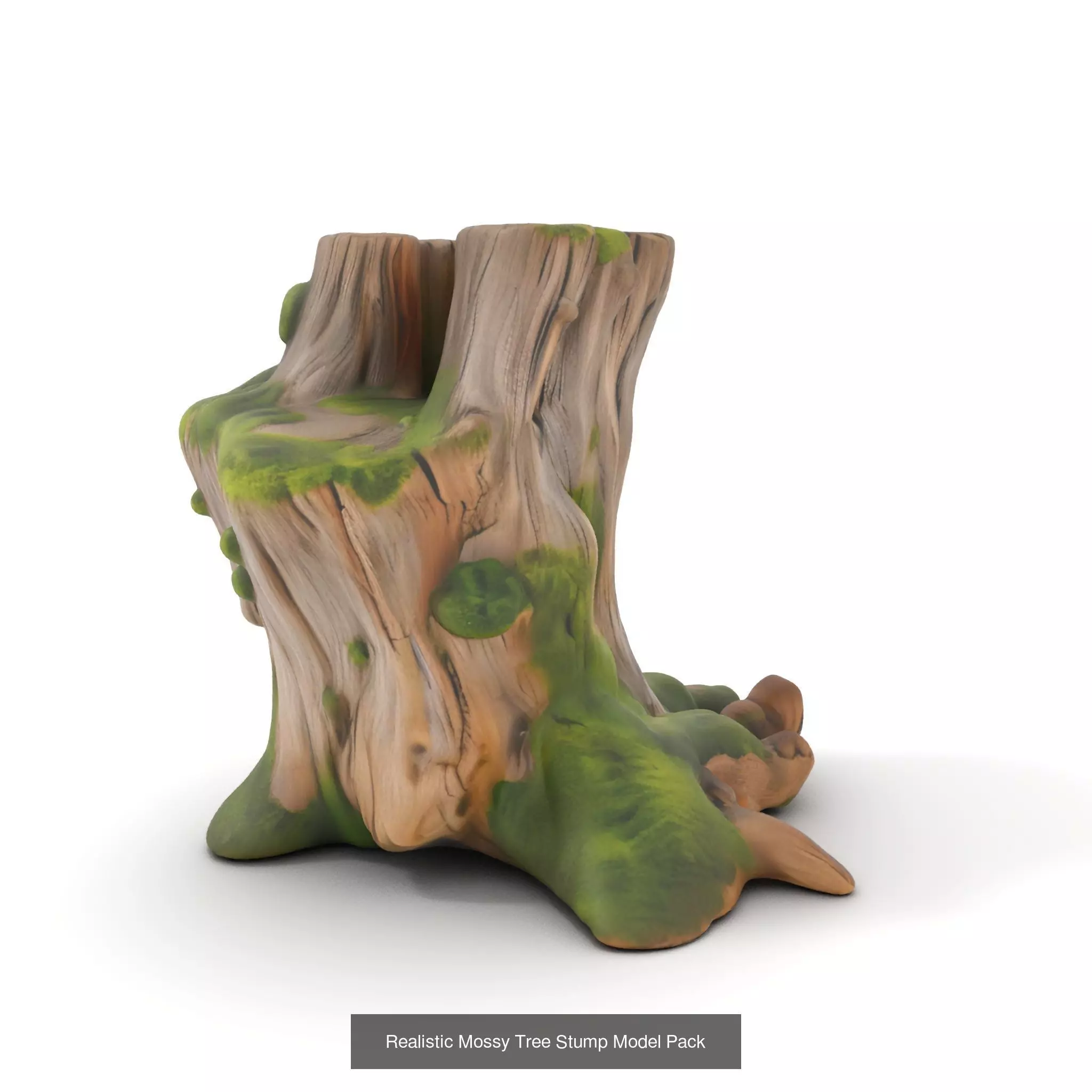 Gnarled Stump Collection _41
