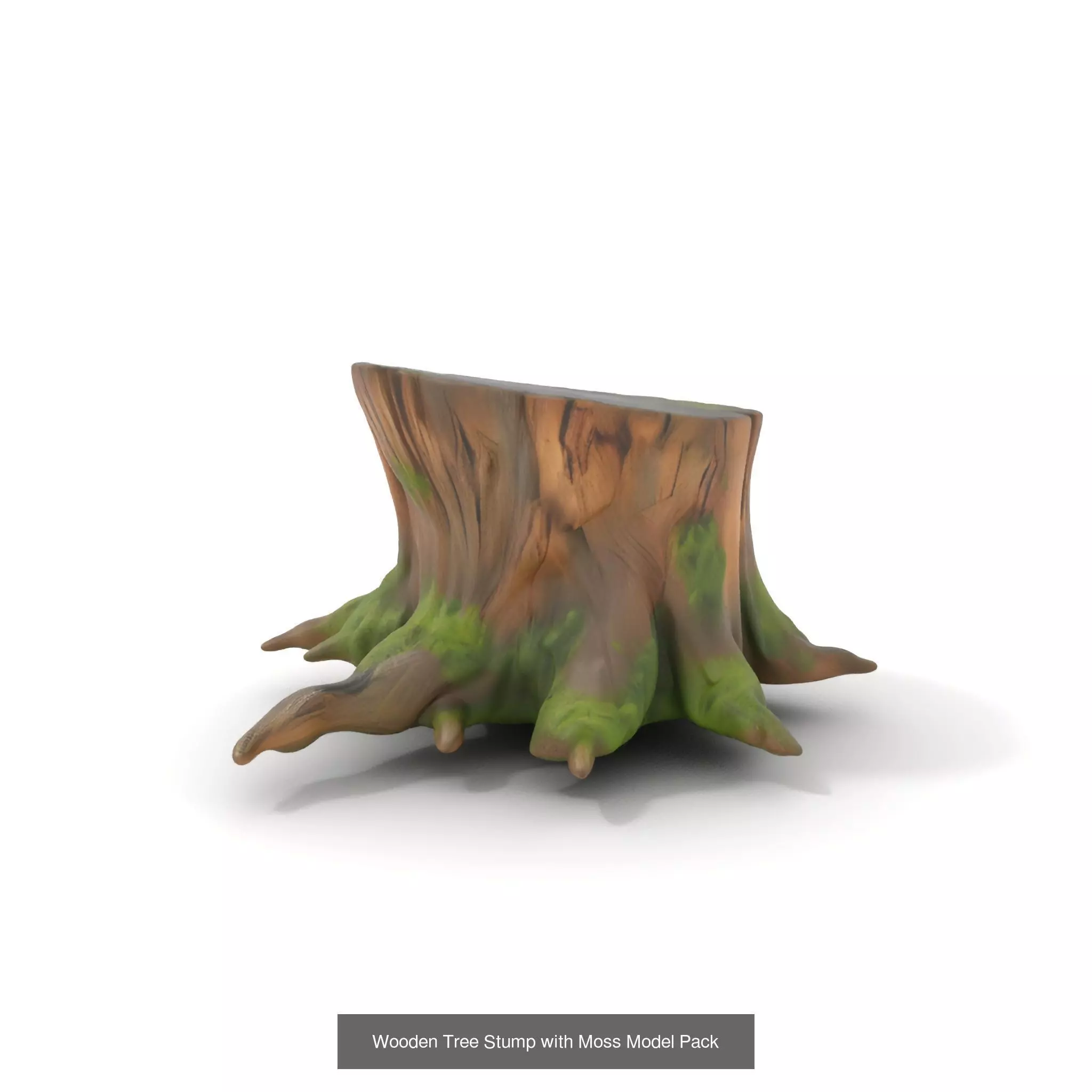 Gnarled Stump Collection _45