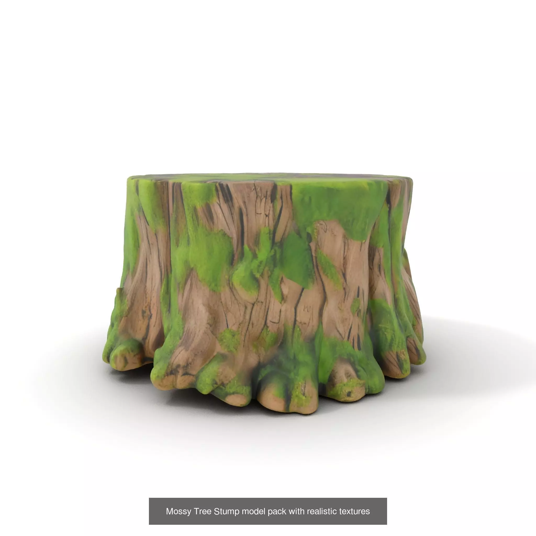 Gnarled Stump Collection _43