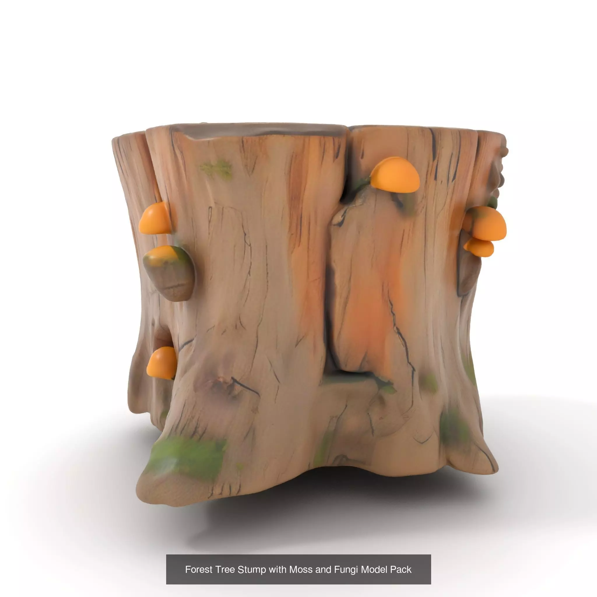 Gnarled Stump Collection _53