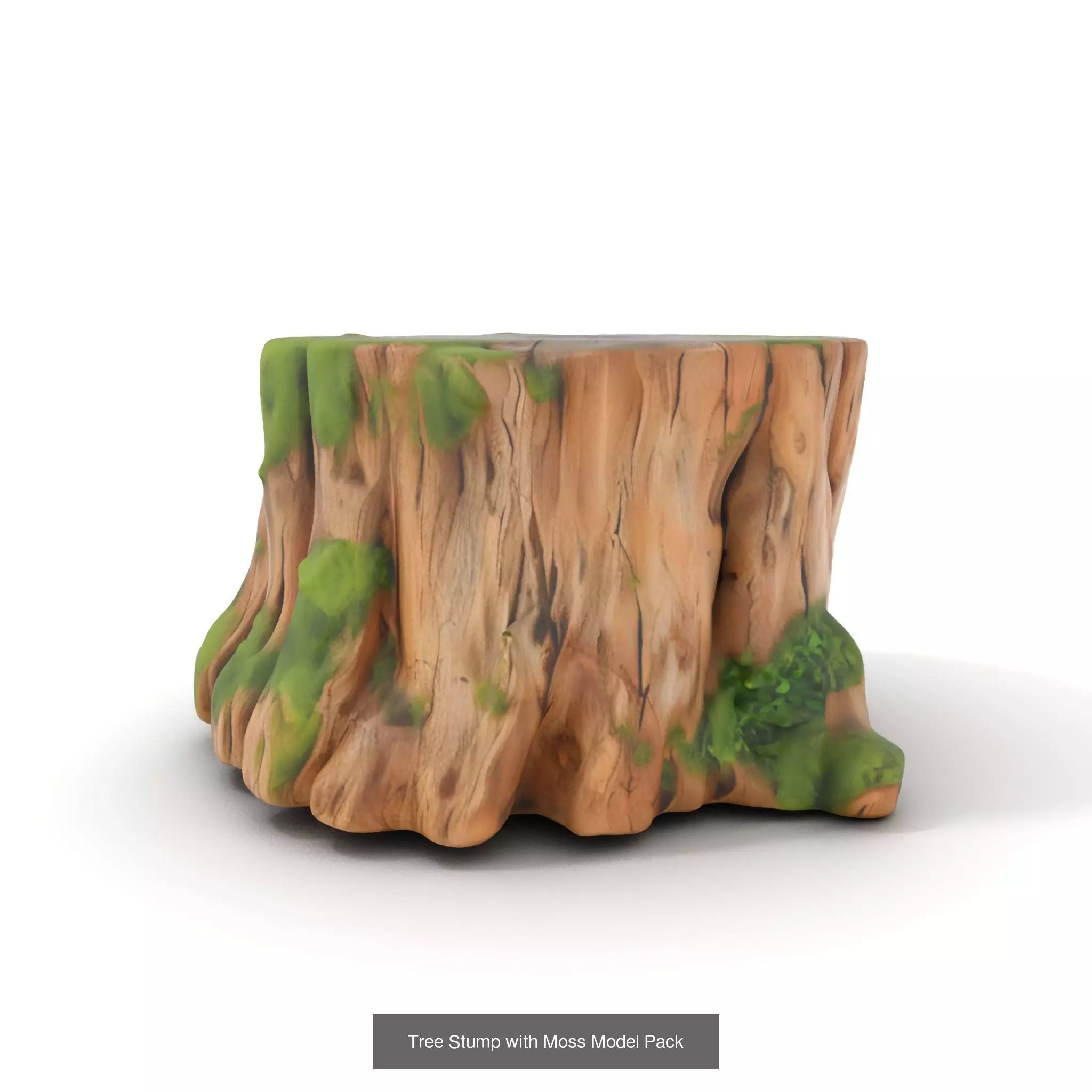 Gnarled Stump Collection _47