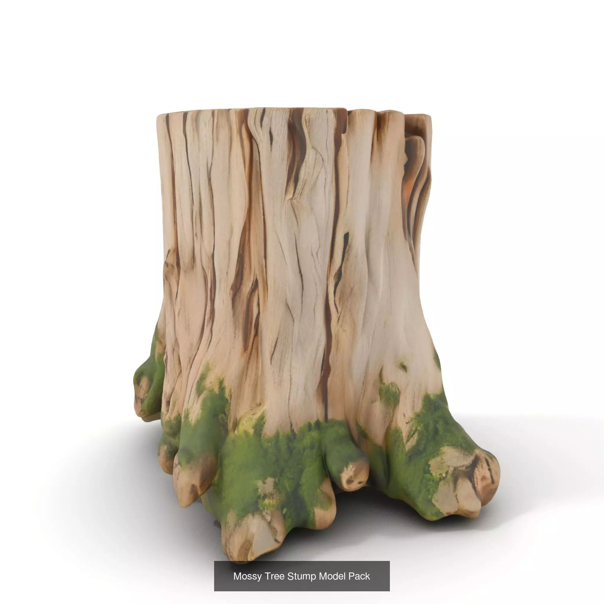 Gnarled Stump Collection _60
