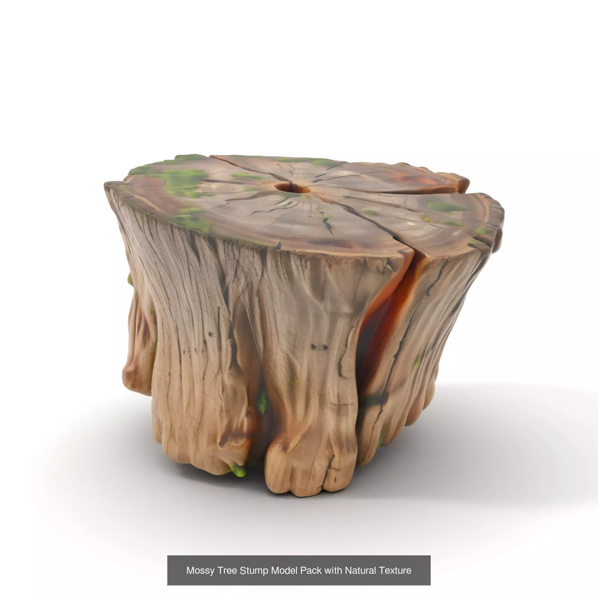 Gnarled Stump Collection _52