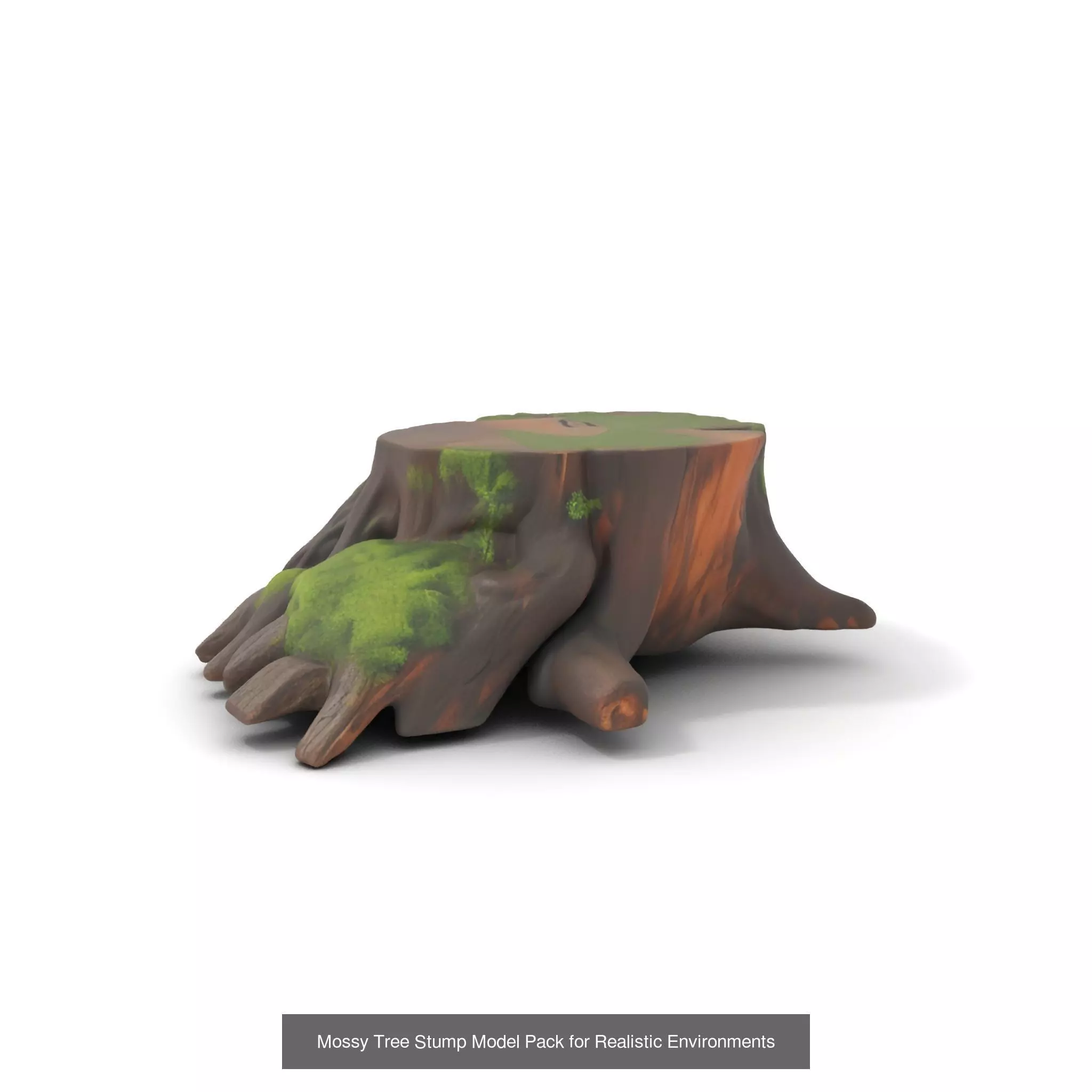 Gnarled Stump Collection _35