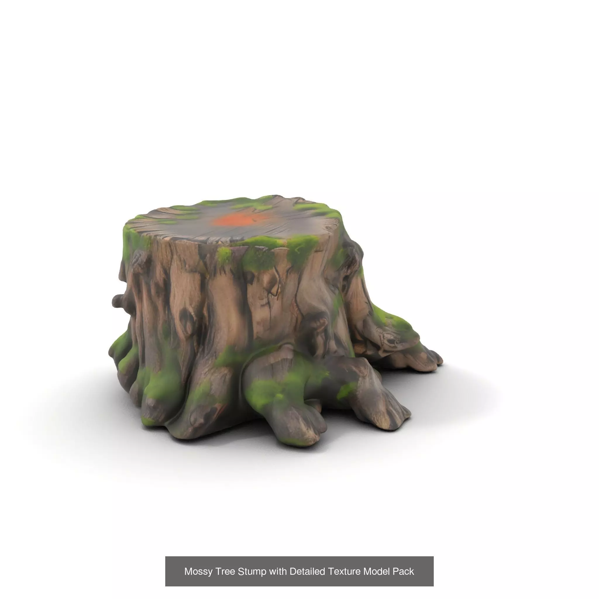 Gnarled Stump Collection _58