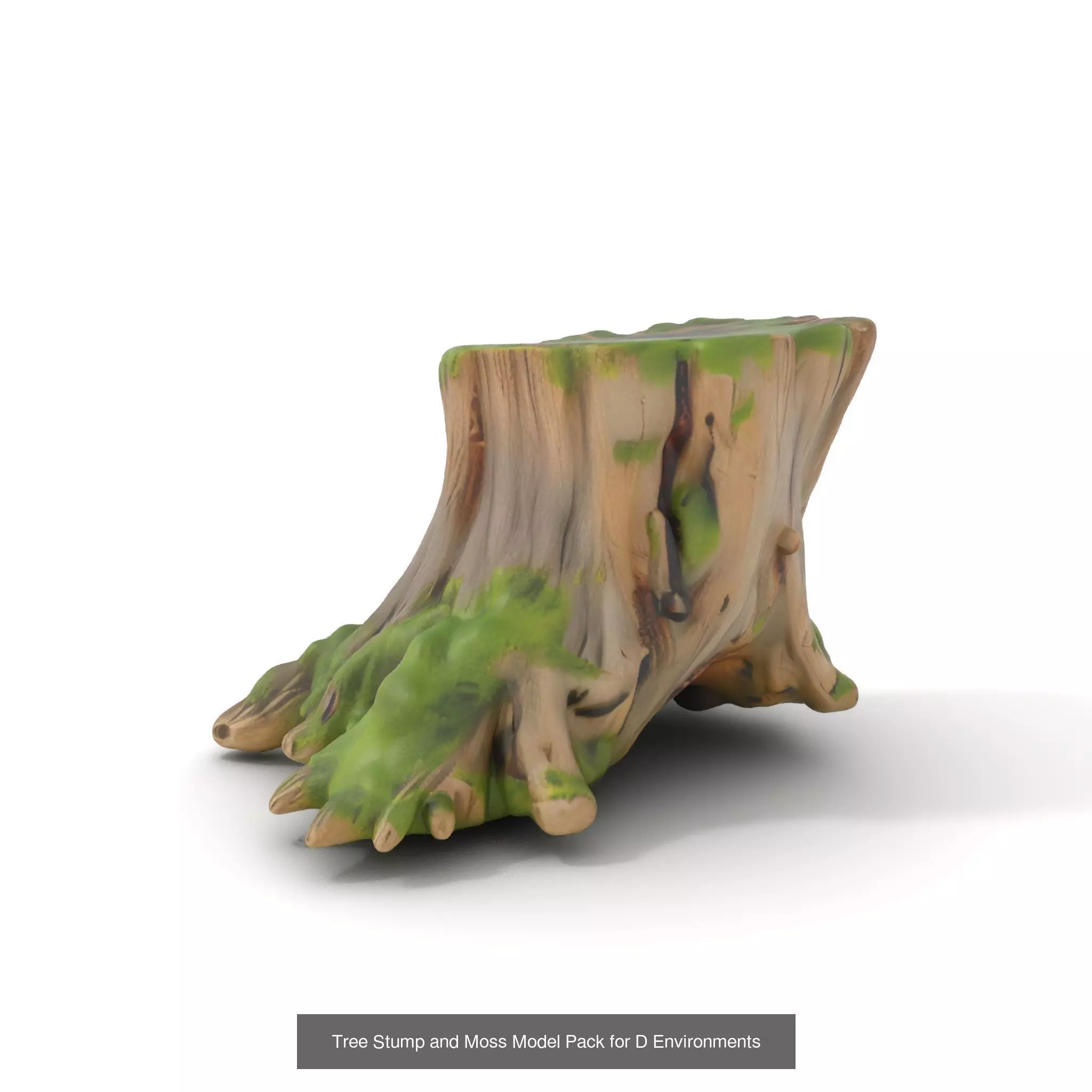 Gnarled Stump Collection _51