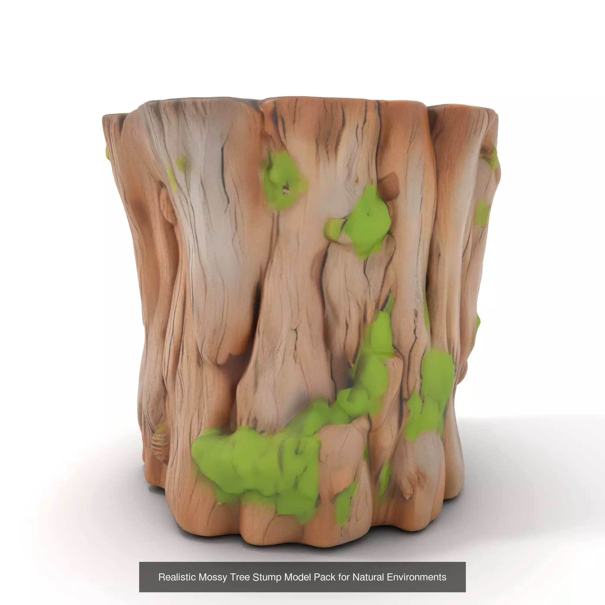 Gnarled Stump Collection _57