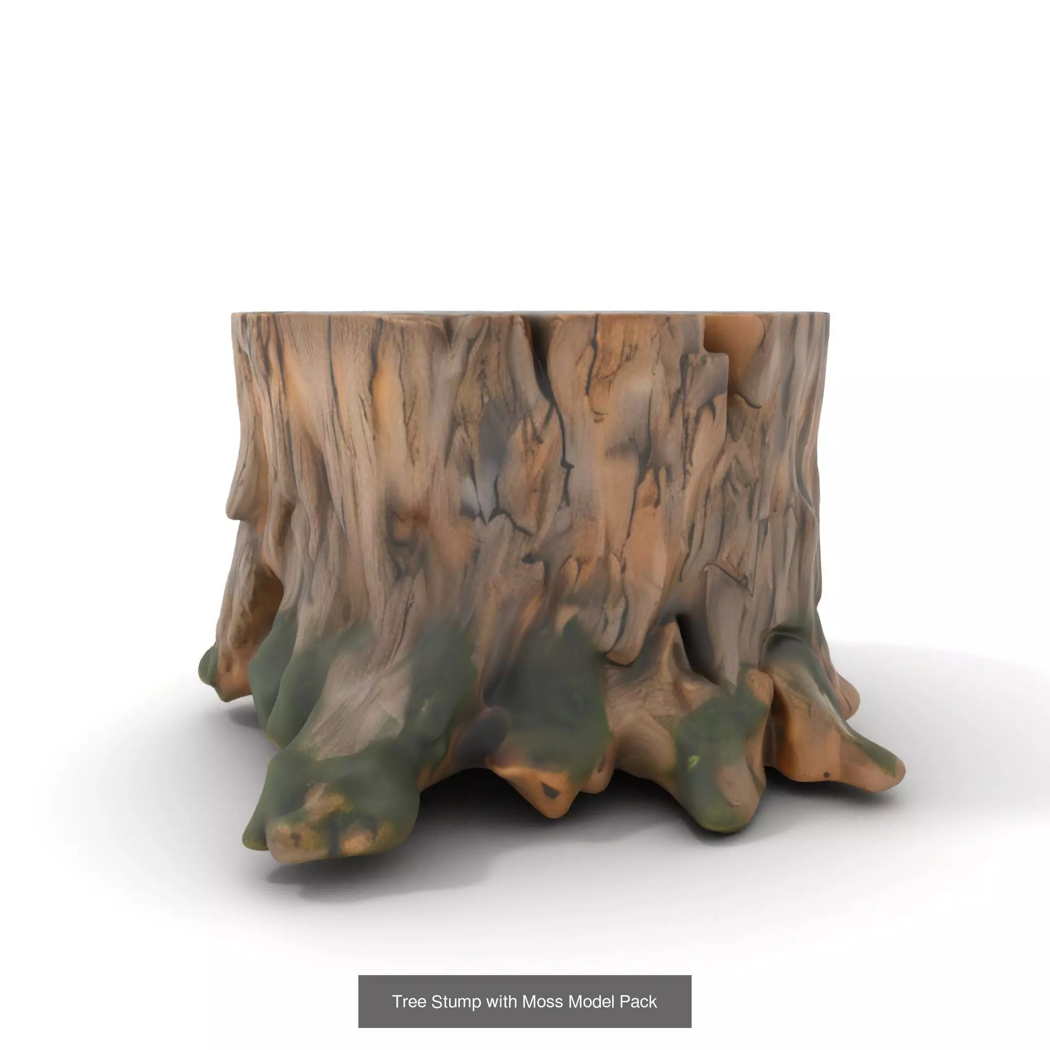 Gnarled Stump Collection _32