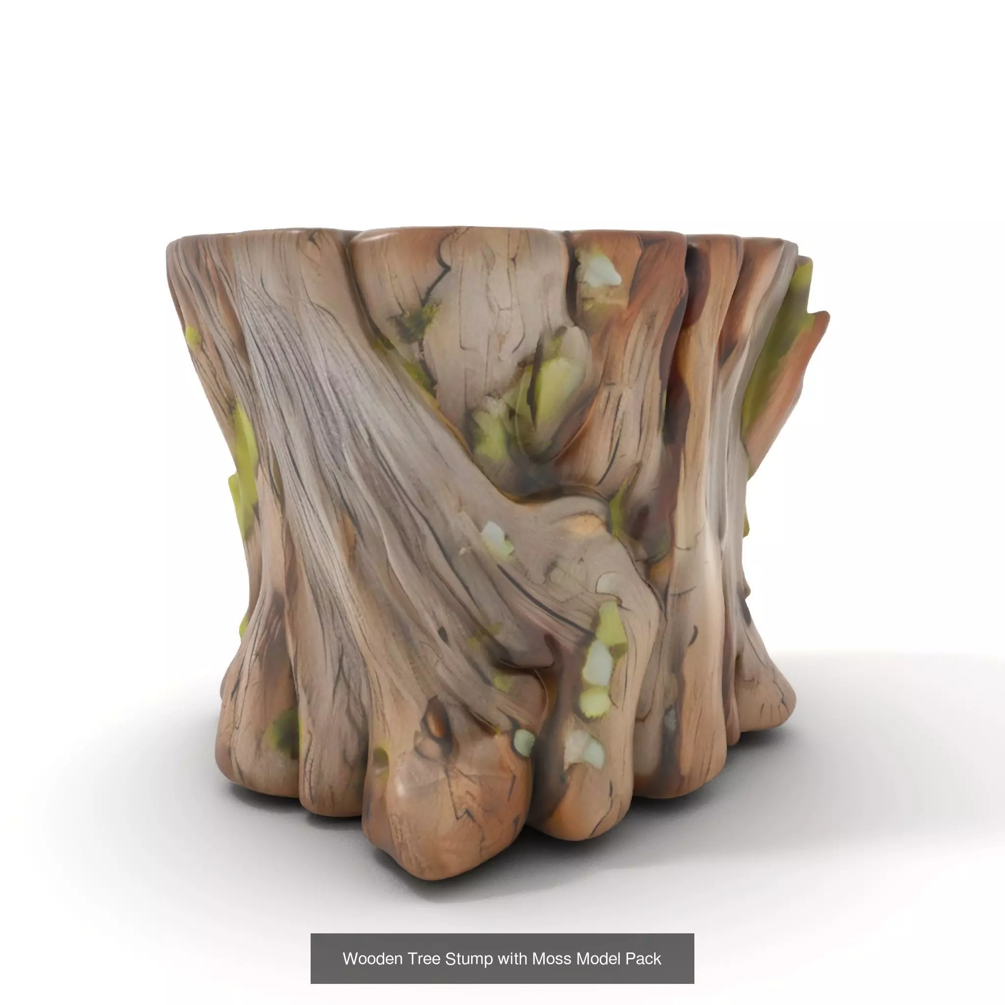 Gnarled Stump Collection _38