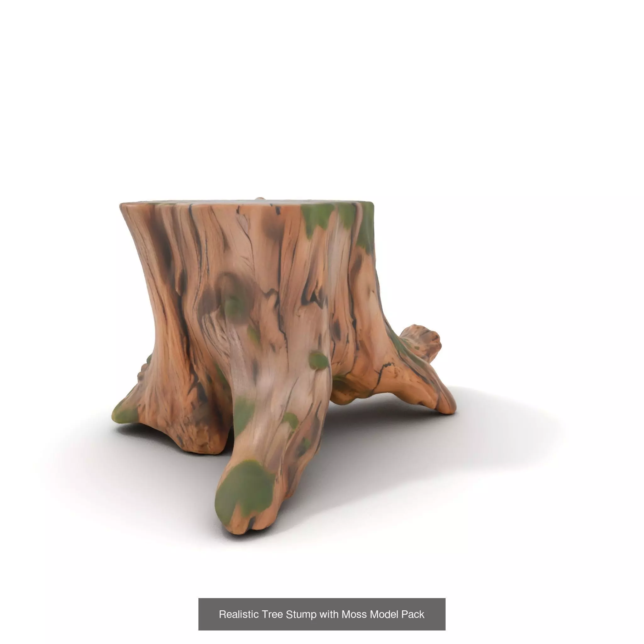 Gnarled Stump Collection _40