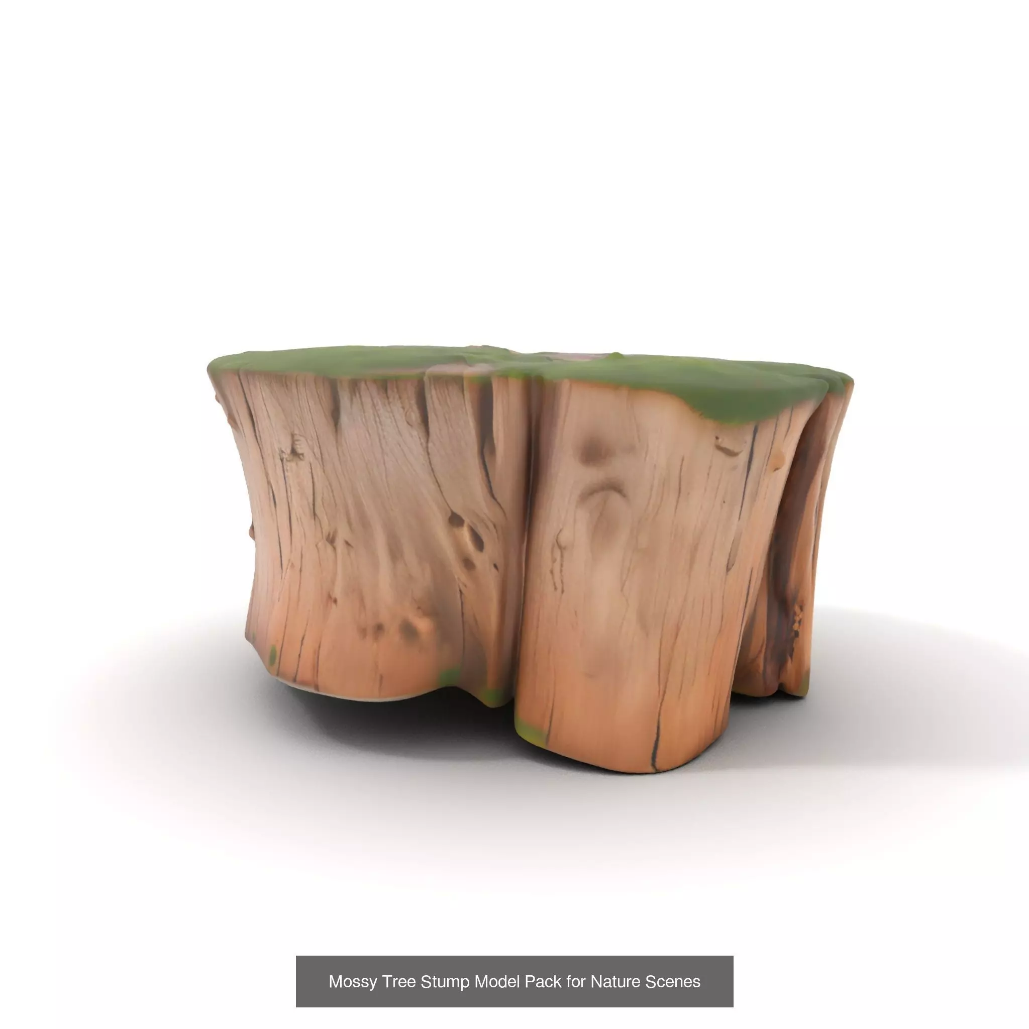 Gnarled Stump Collection _54