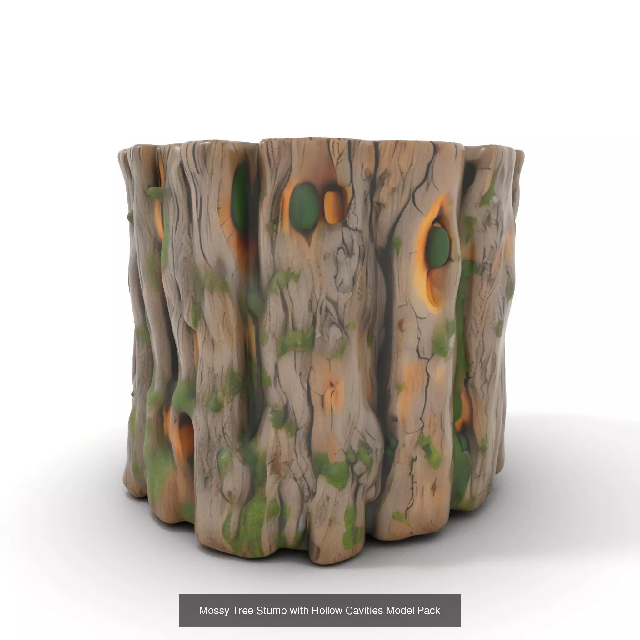 Gnarled Stump Collection _46