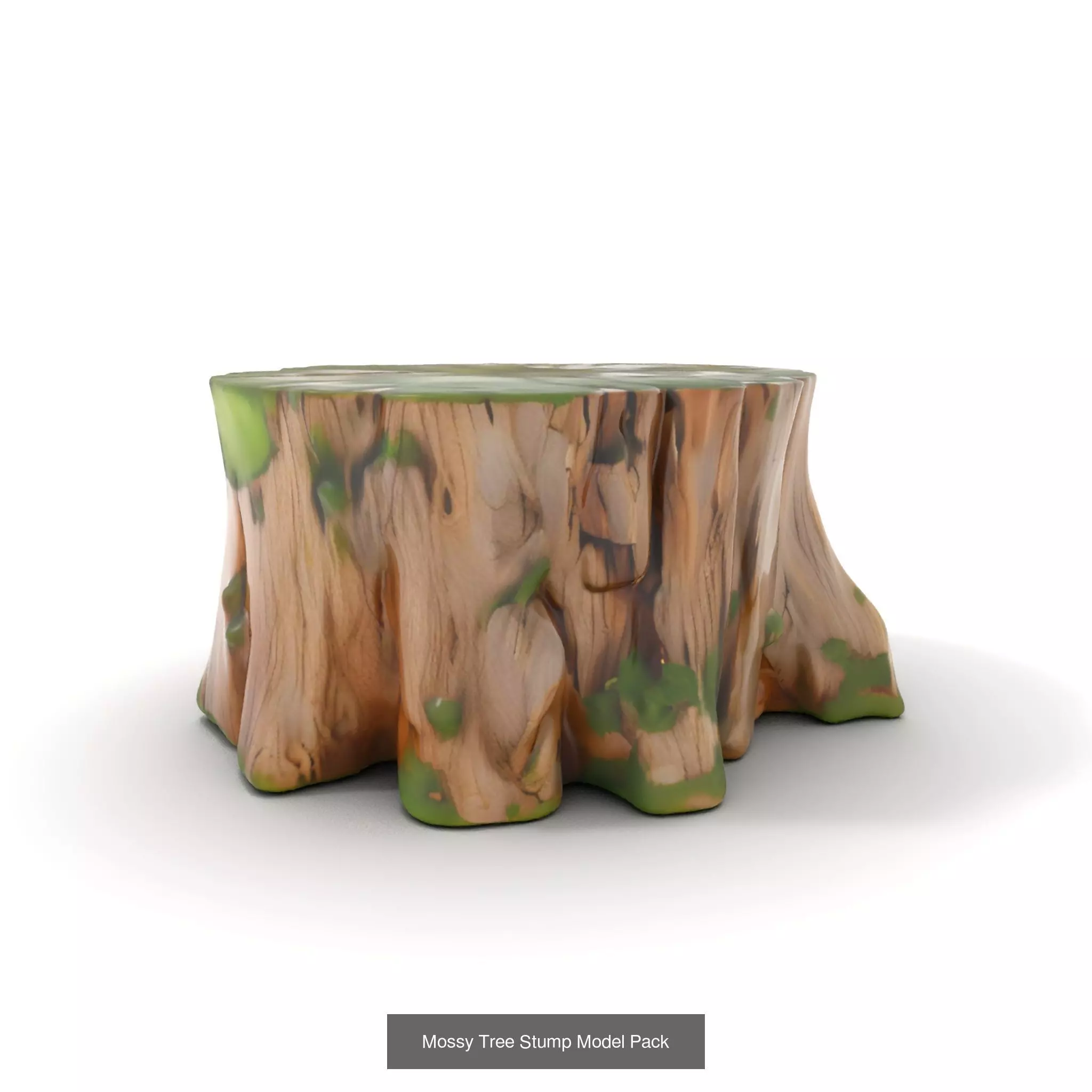 Gnarled Stump Collection _59