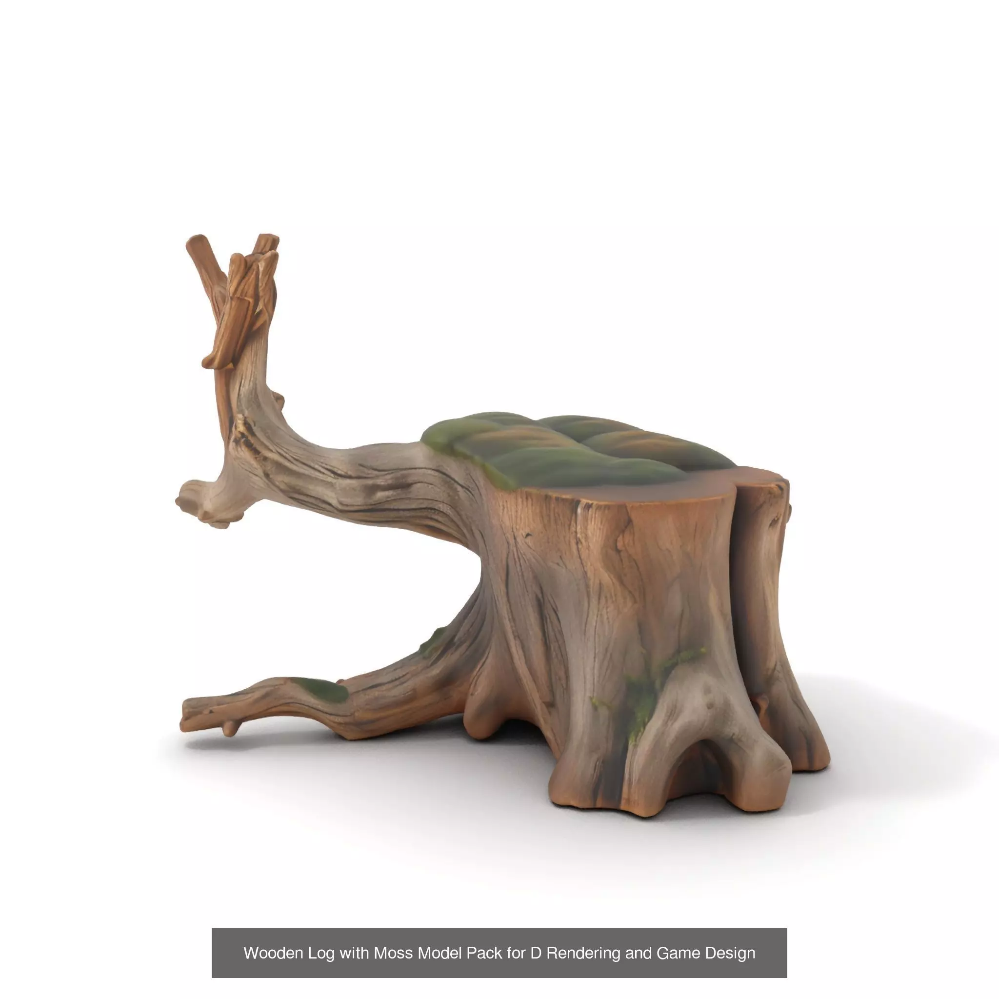 Gnarled Stump Collection _34