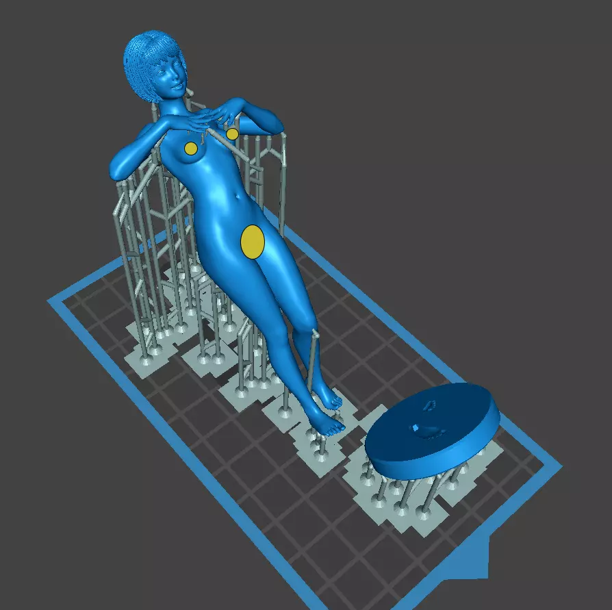 Jav Actress Series - Iroha Shirosaki 3D print model_5