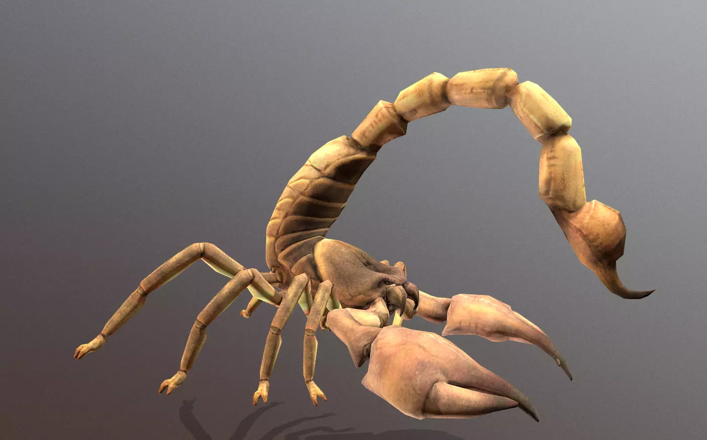 Desert Scorpion Sand Predator Multi Action 3D model_3