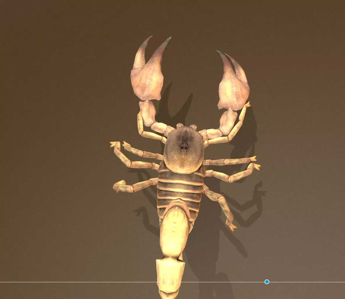 Desert Scorpion Sand Predator Multi Action 3D model_4