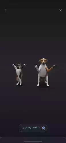 Happy Dog  Cat 3D Model 3D model