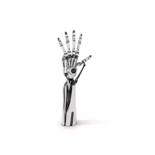 Futuristic Robotic Hand Model Pack with Mechanical Design Low-poly 3D model