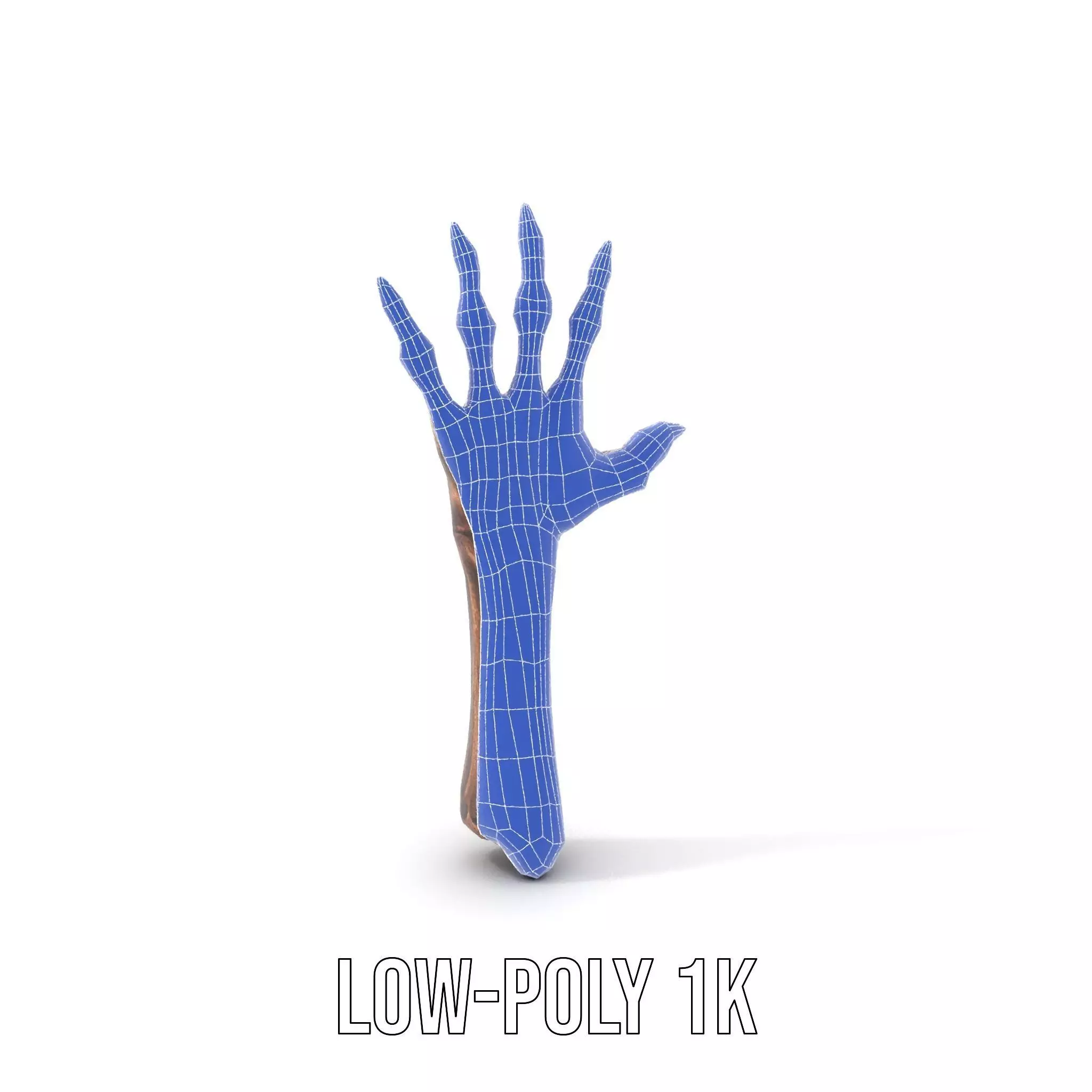 Zombie Hand model pack with detailed textures and bone structure Low-poly 3D model_8