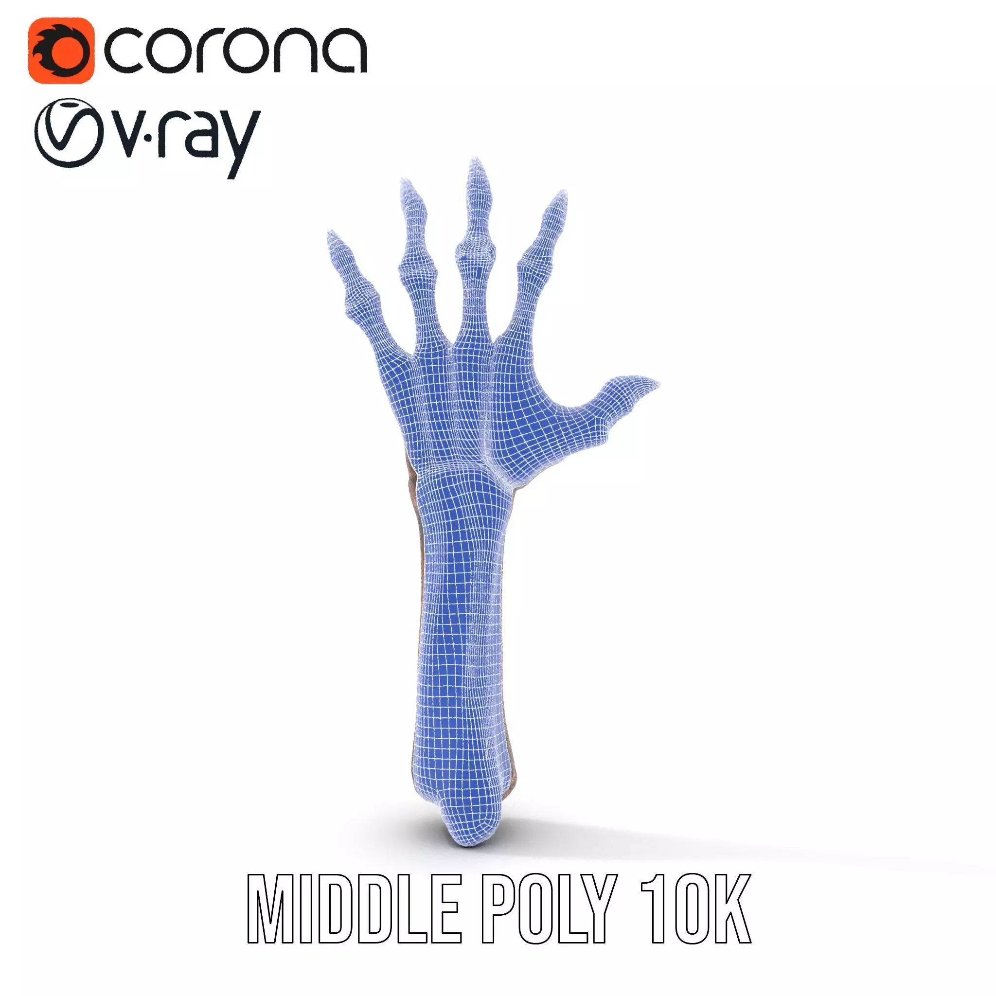 Zombie Hand model pack with detailed textures and bone structure Low-poly 3D model_18