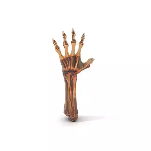Zombie Hand model pack with detailed textures and bone structure Low-poly 3D model