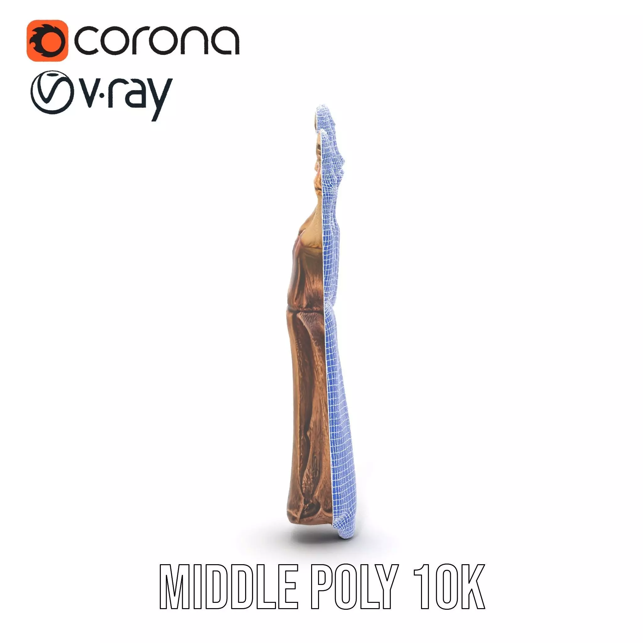 Zombie Hand model pack with detailed textures and bone structure Low-poly 3D model_15