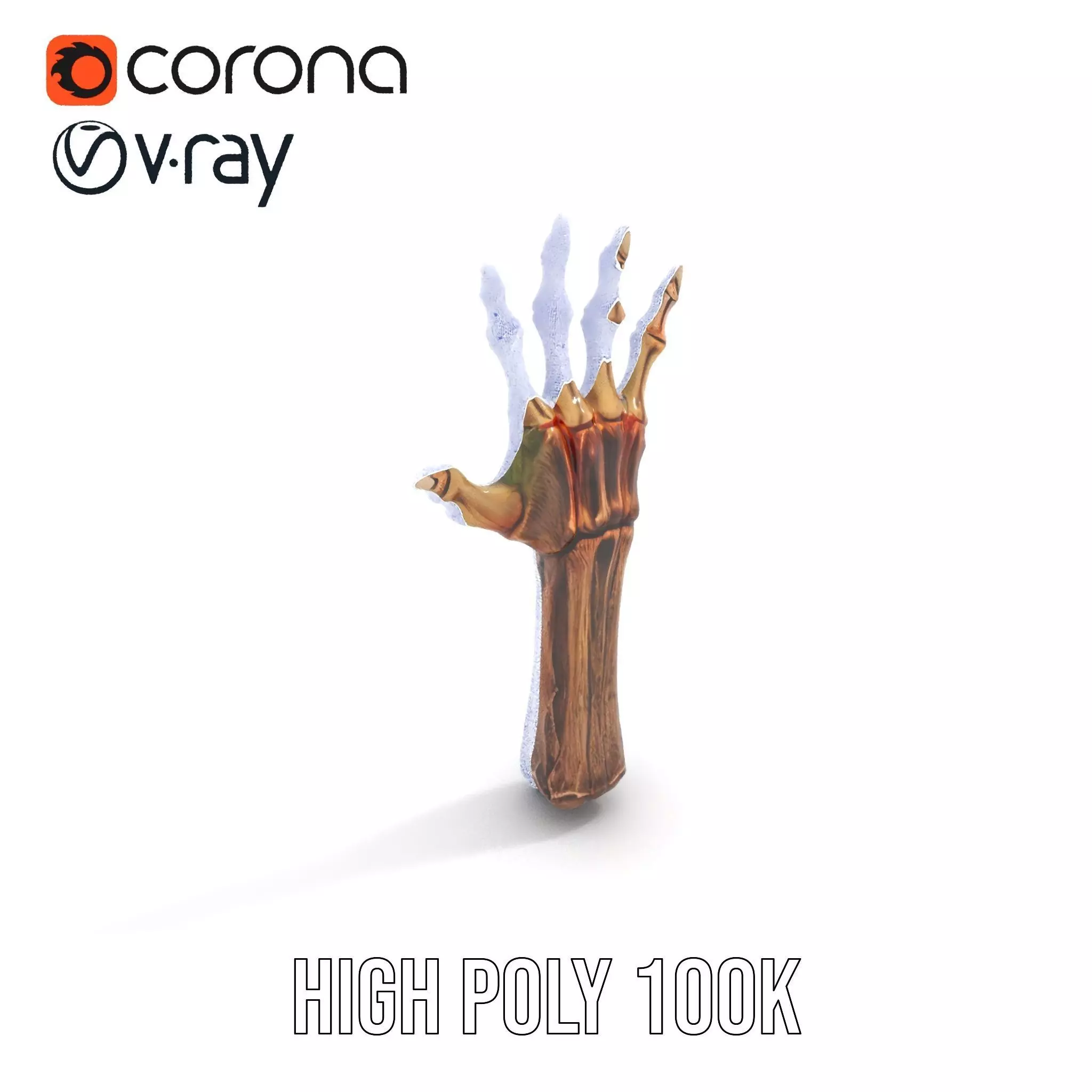 Zombie Hand model pack with detailed textures and bone structure Low-poly 3D model_9