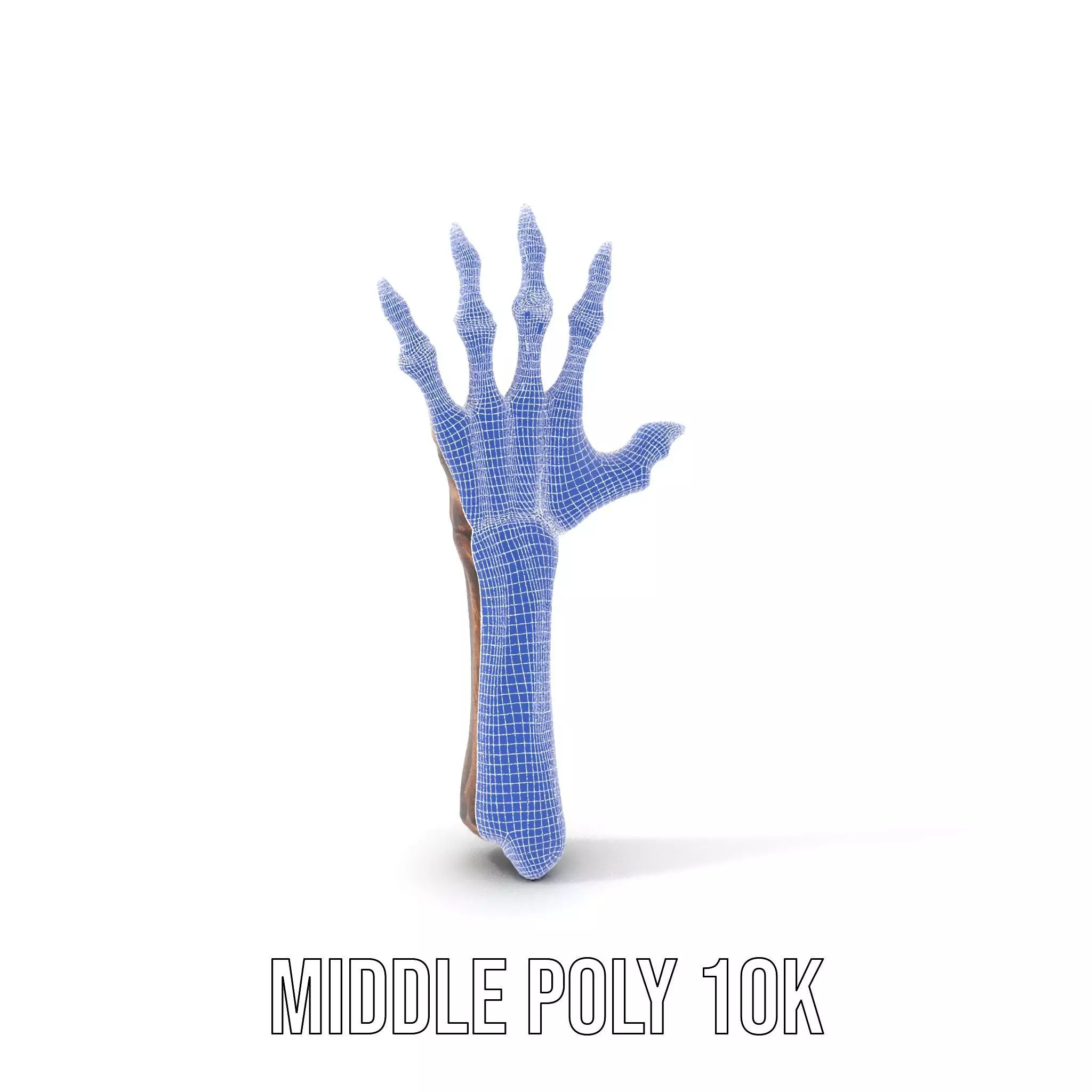 Zombie Hand model pack with detailed textures and bone structure Low-poly 3D model_29