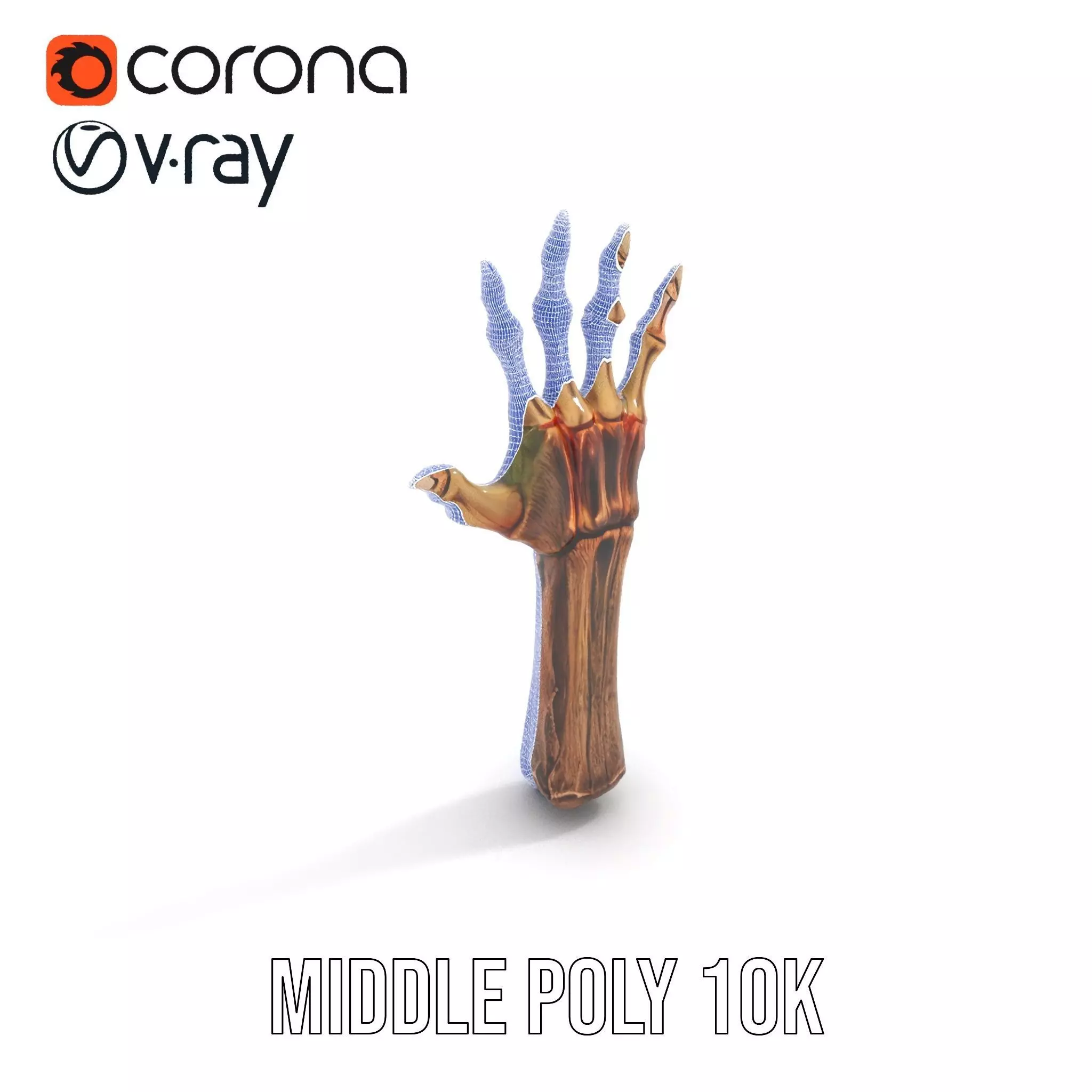 Zombie Hand model pack with detailed textures and bone structure Low-poly 3D model_10