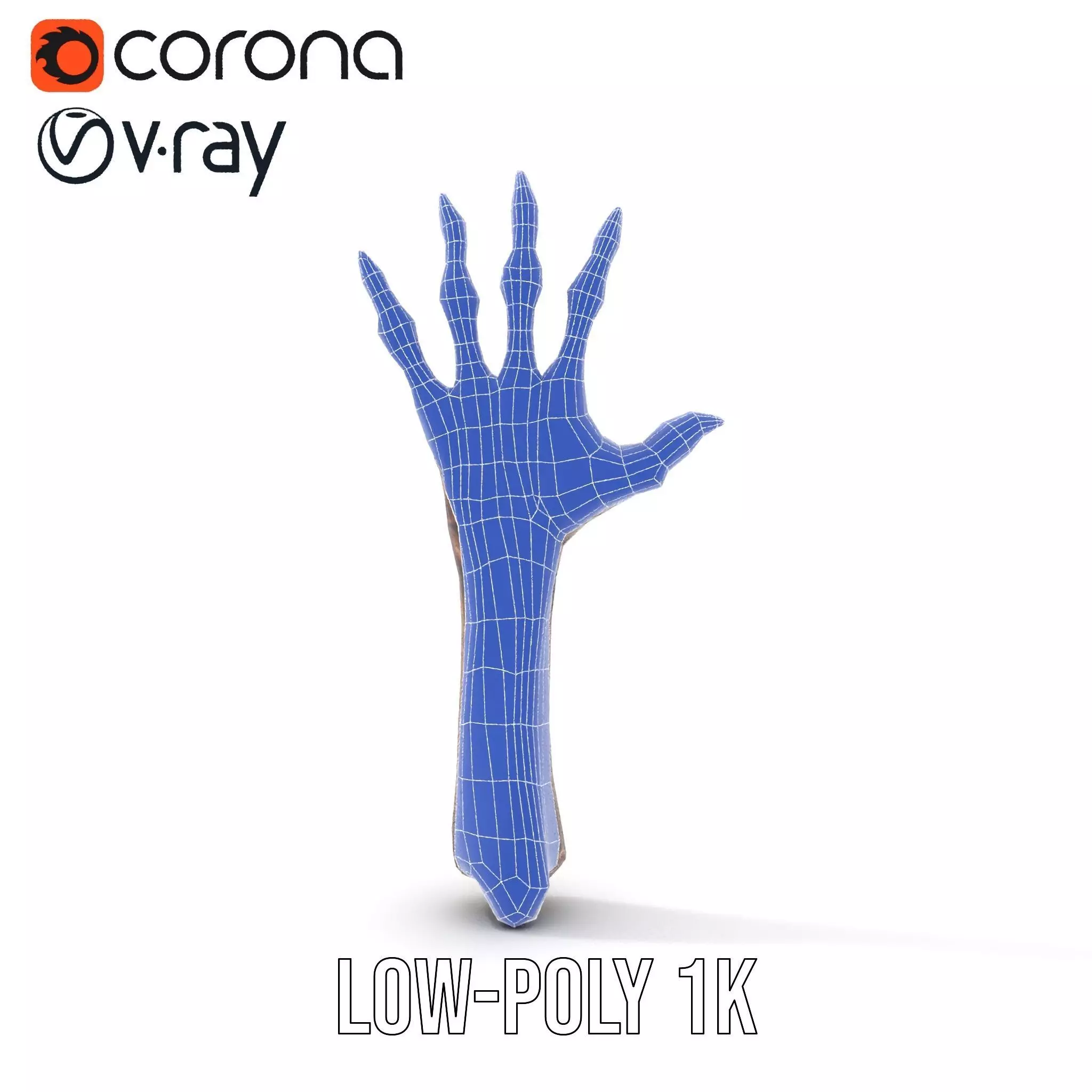 Zombie Hand model pack with detailed textures and bone structure Low-poly 3D model_16