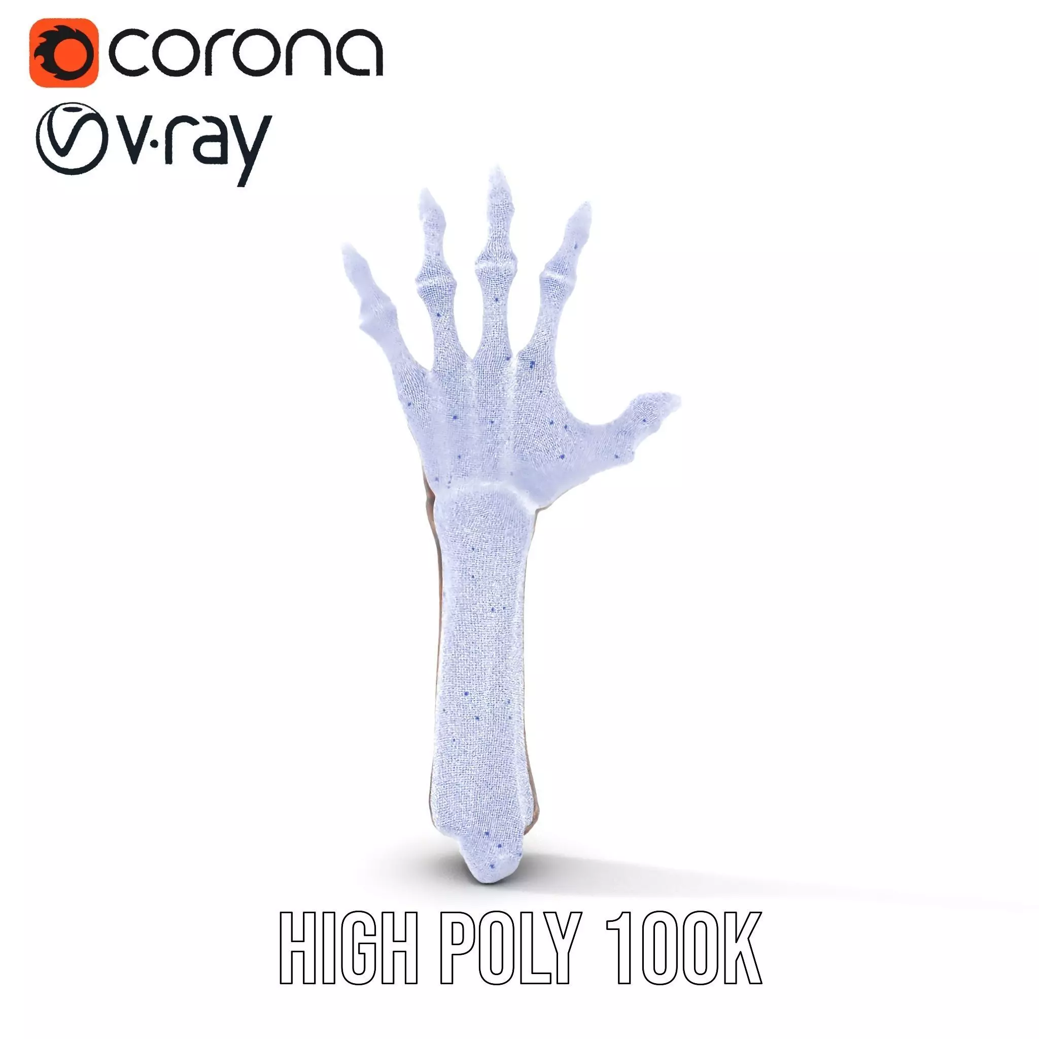 Zombie Hand model pack with detailed textures and bone structure Low-poly 3D model_22