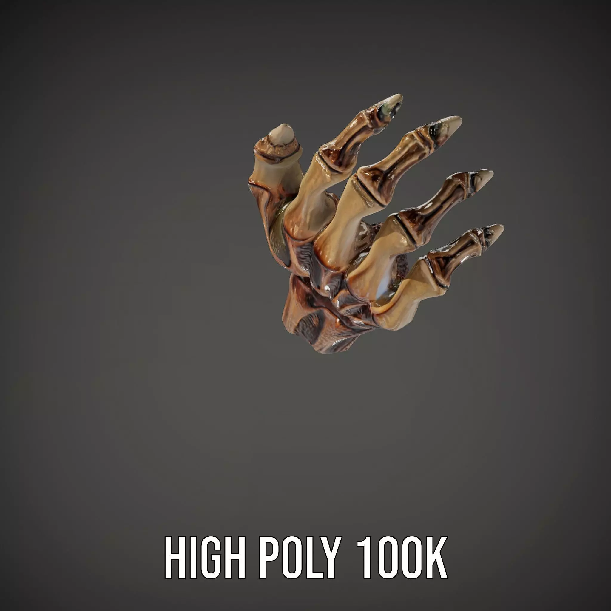Zombie Hand model pack with detailed textures and bone structure Low-poly 3D model_33