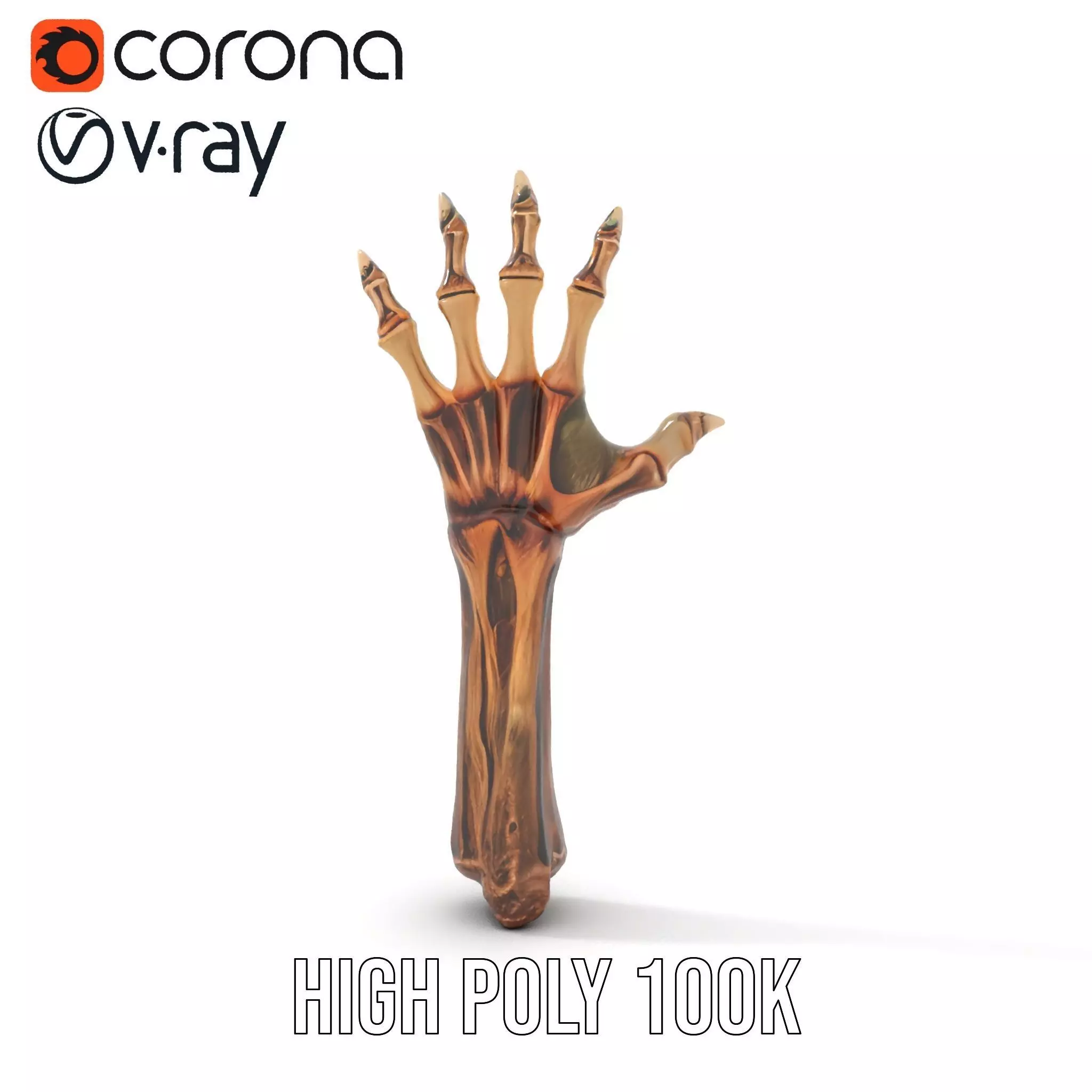 Zombie Hand model pack with detailed textures and bone structure Low-poly 3D model_28