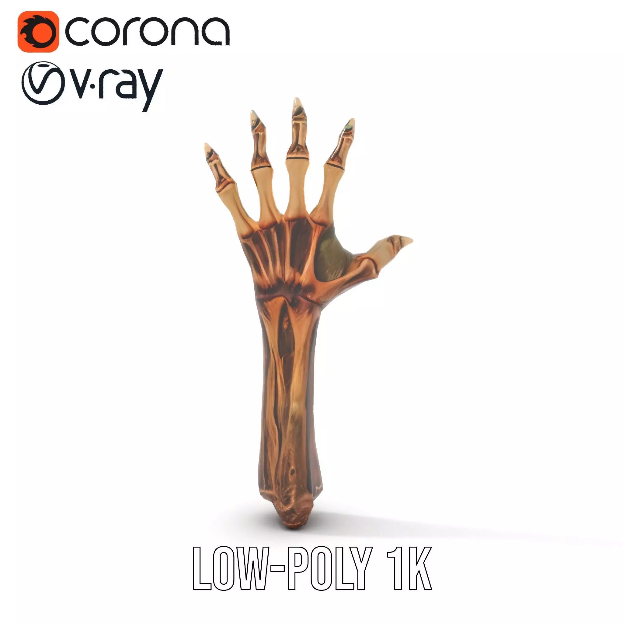 Zombie Hand model pack with detailed textures and bone structure Low-poly 3D model_13