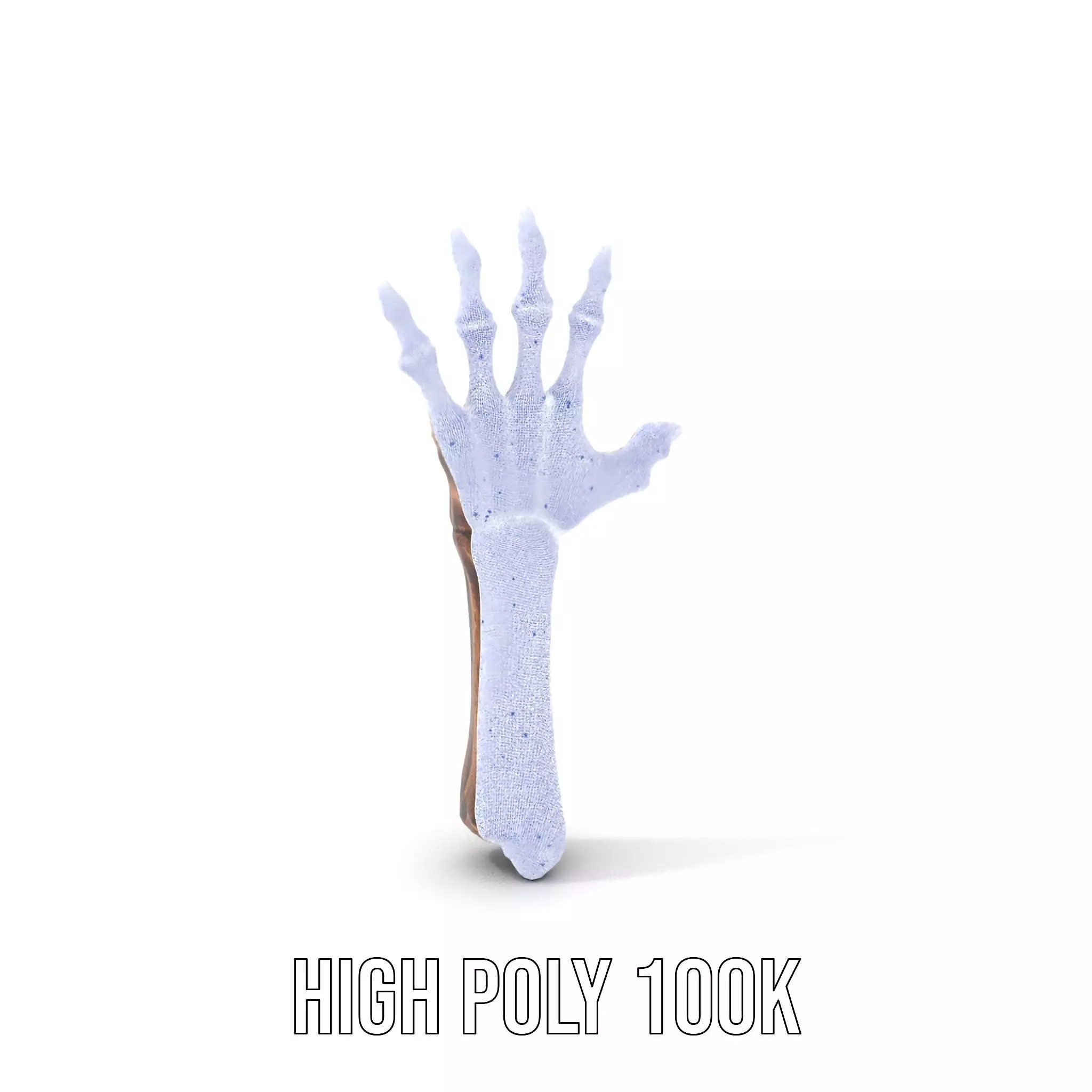 Zombie Hand model pack with detailed textures and bone structure Low-poly 3D model_4